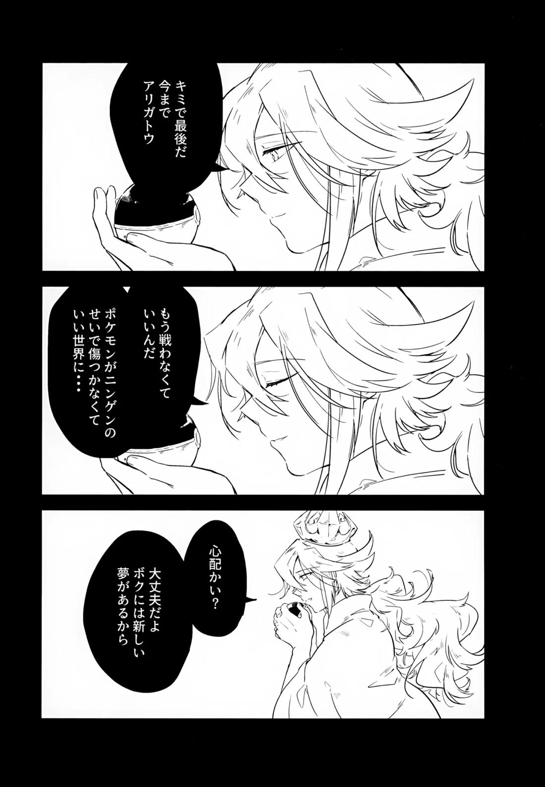 ボクノスキナヒト【ポケモン/Ｎ×トウヤ】 page 20