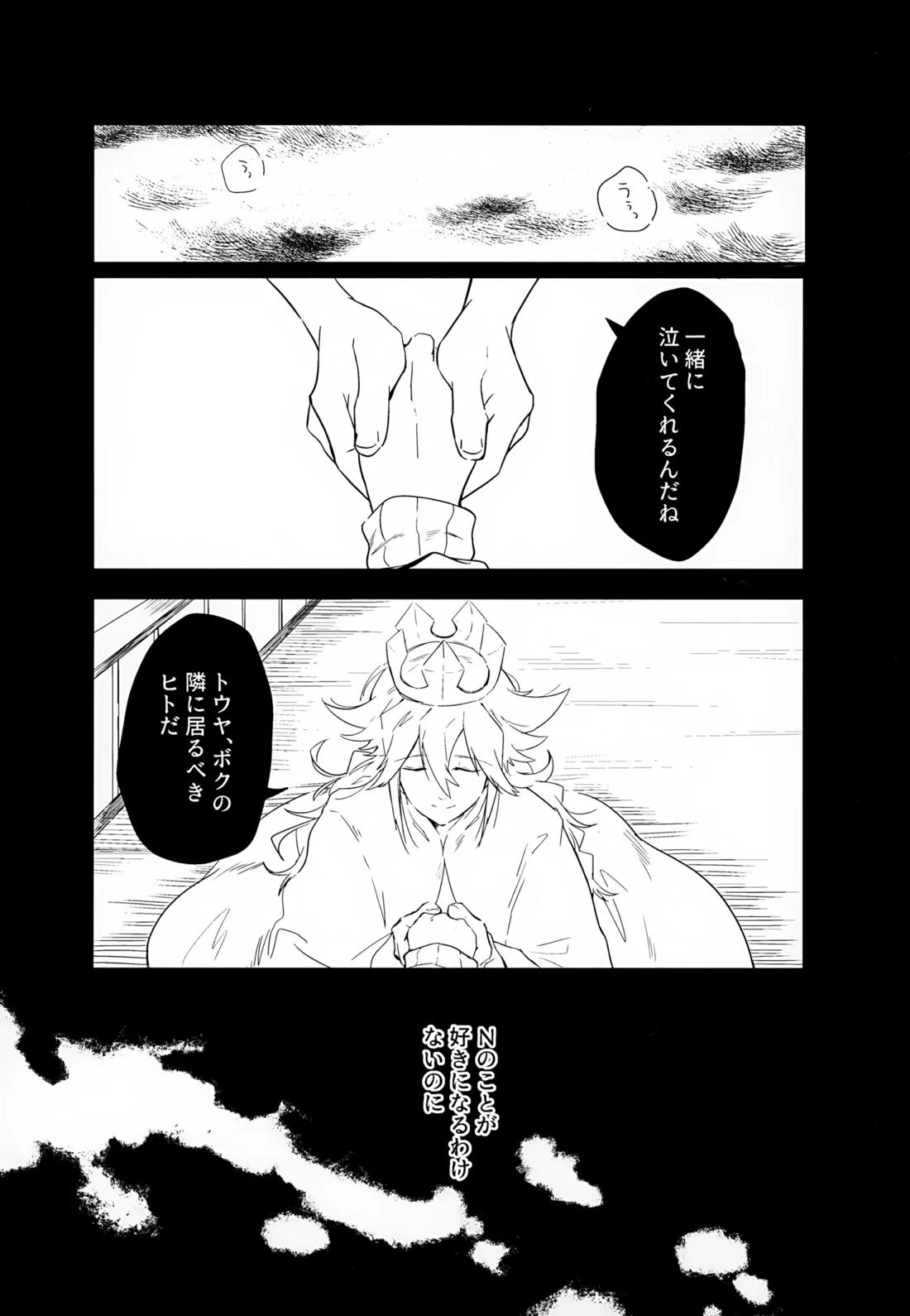 ボクノスキナヒト【ポケモン/Ｎ×トウヤ】 page 22