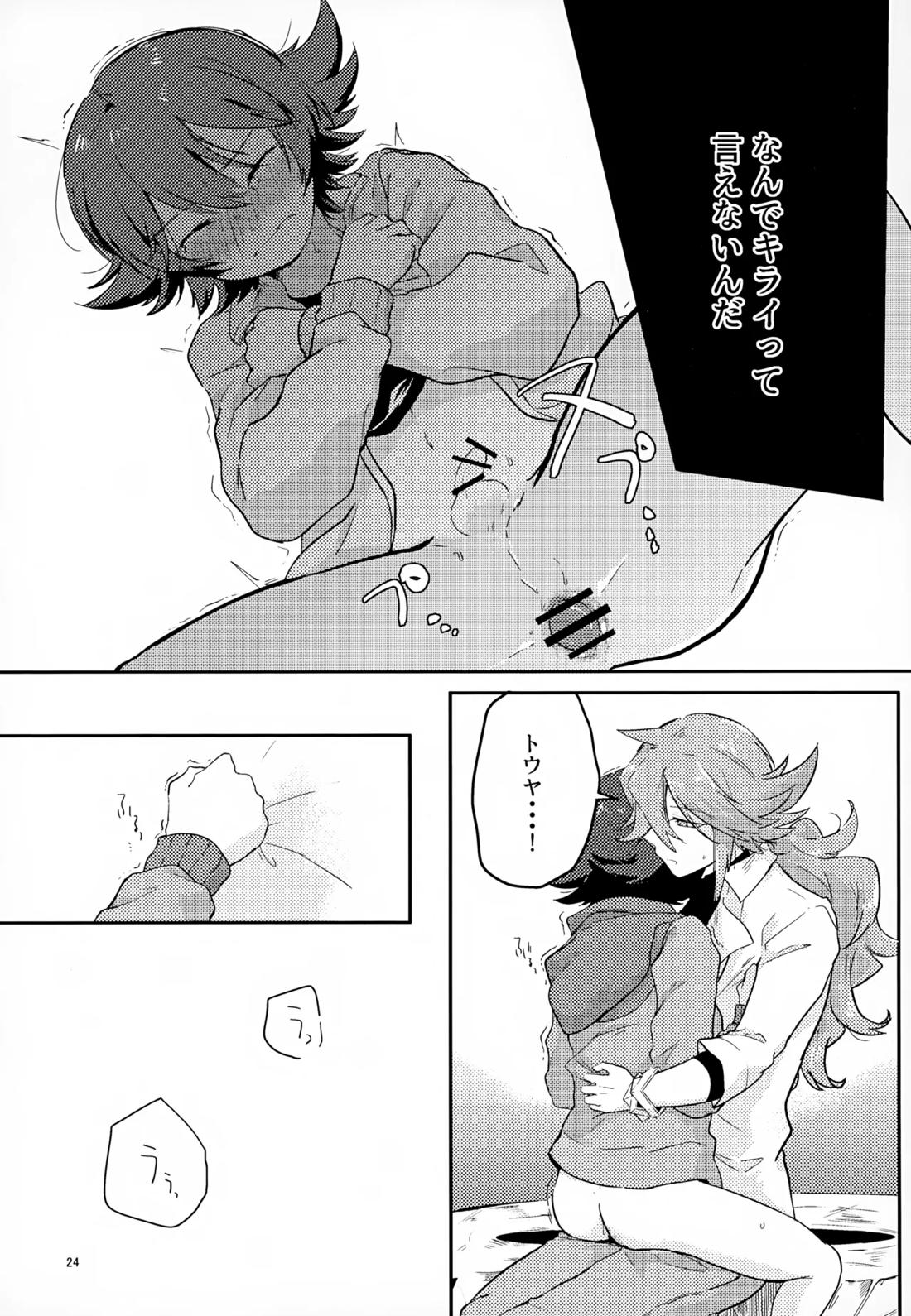 ボクノスキナヒト【ポケモン/Ｎ×トウヤ】 page 23