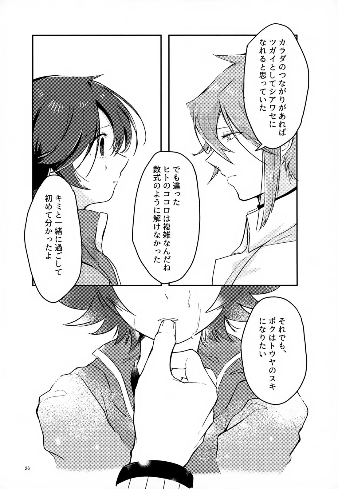 ボクノスキナヒト【ポケモン/Ｎ×トウヤ】 page 25