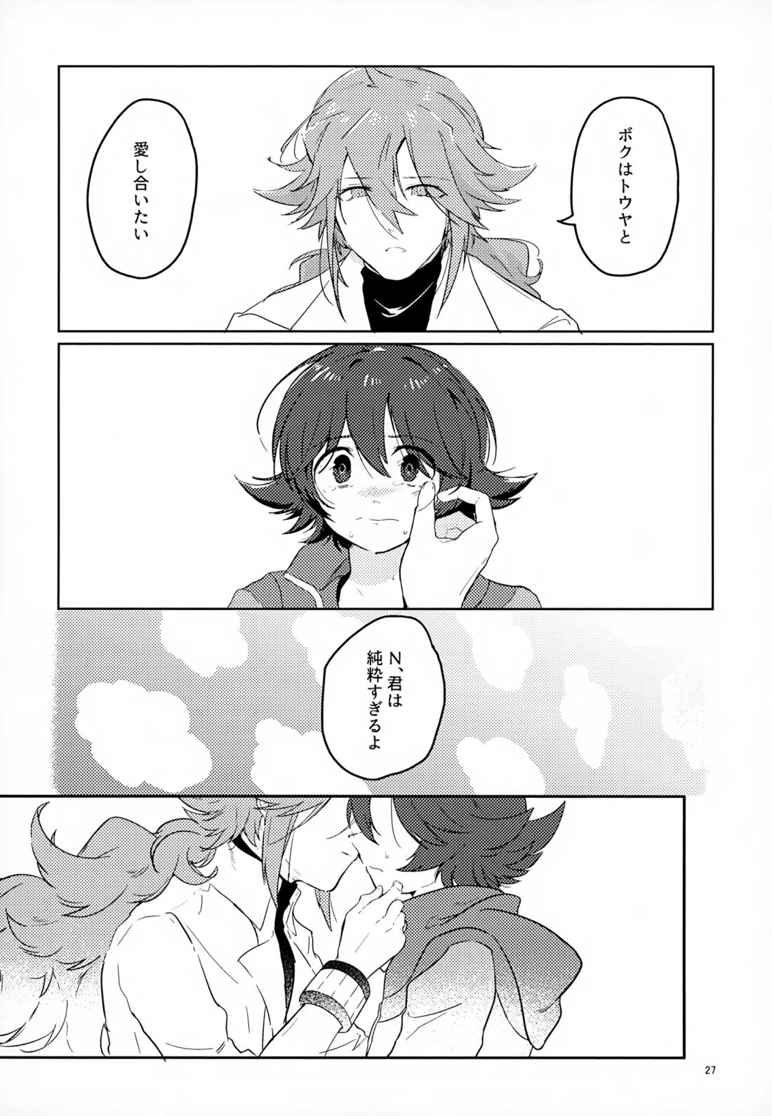 ボクノスキナヒト【ポケモン/Ｎ×トウヤ】 page 26
