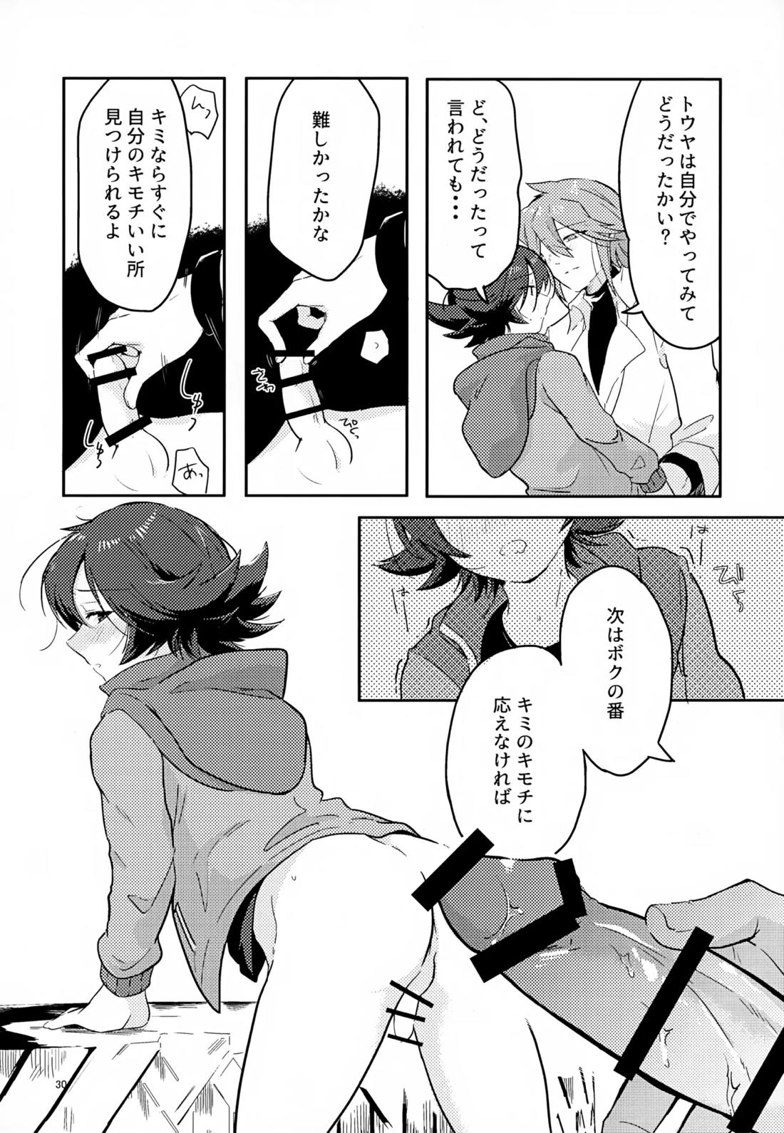 ボクノスキナヒト【ポケモン/Ｎ×トウヤ】 page 29