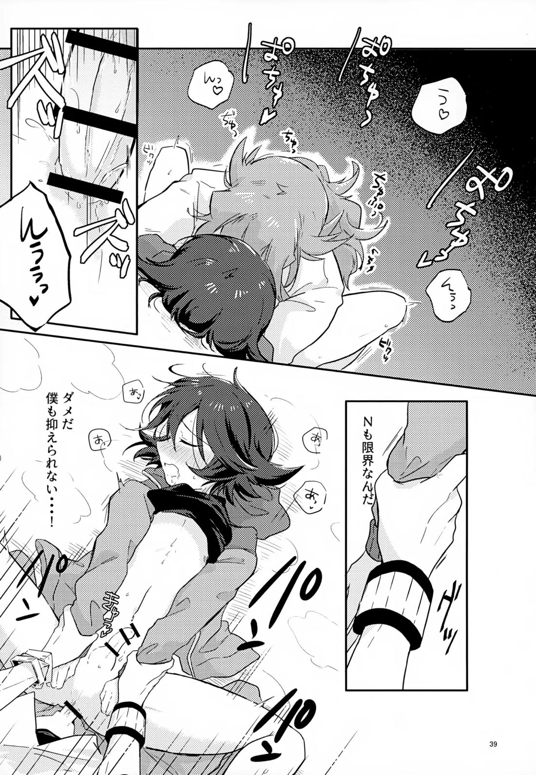 ボクノスキナヒト【ポケモン/Ｎ×トウヤ】 page 38