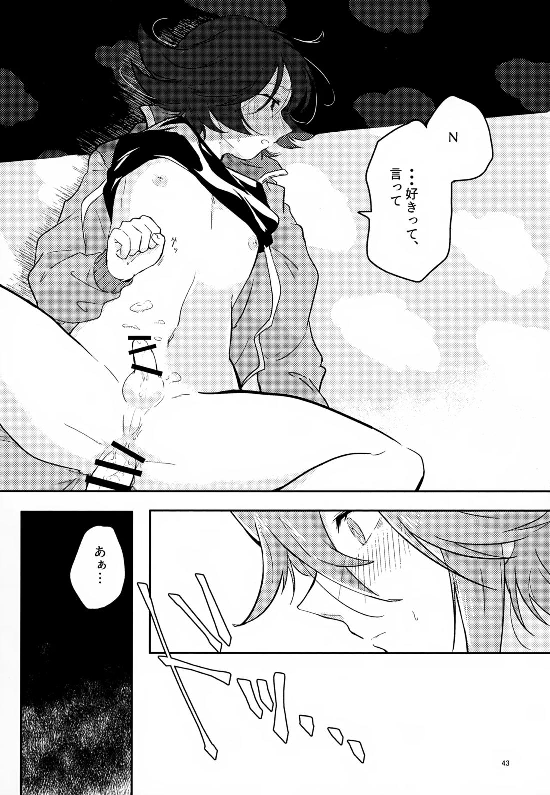 ボクノスキナヒト【ポケモン/Ｎ×トウヤ】 page 42