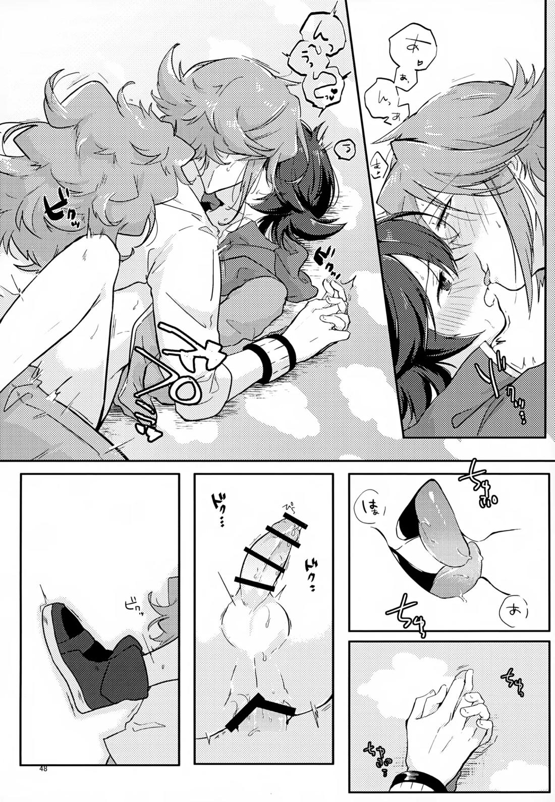 ボクノスキナヒト【ポケモン/Ｎ×トウヤ】 page 47