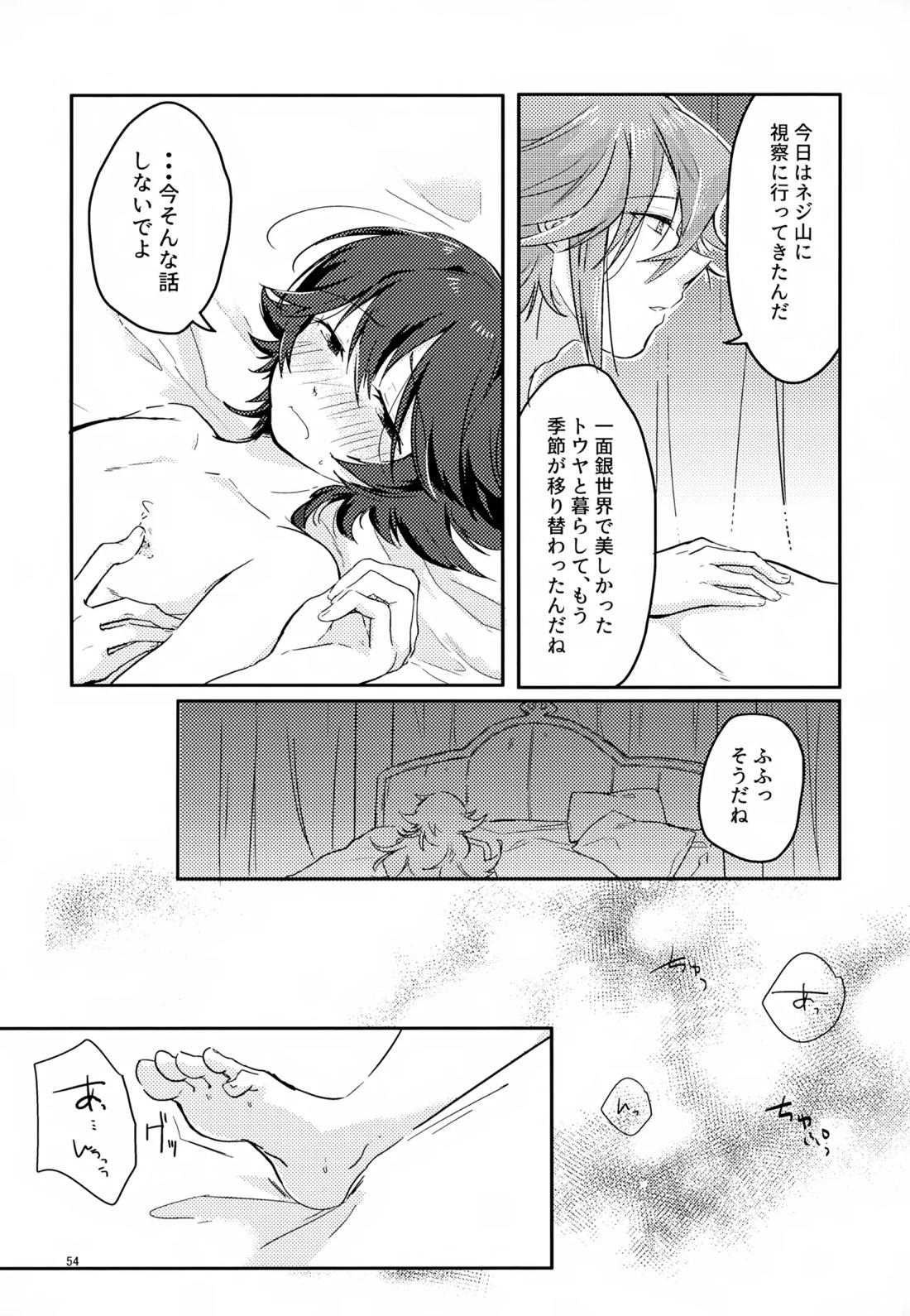 ボクノスキナヒト【ポケモン/Ｎ×トウヤ】 page 53