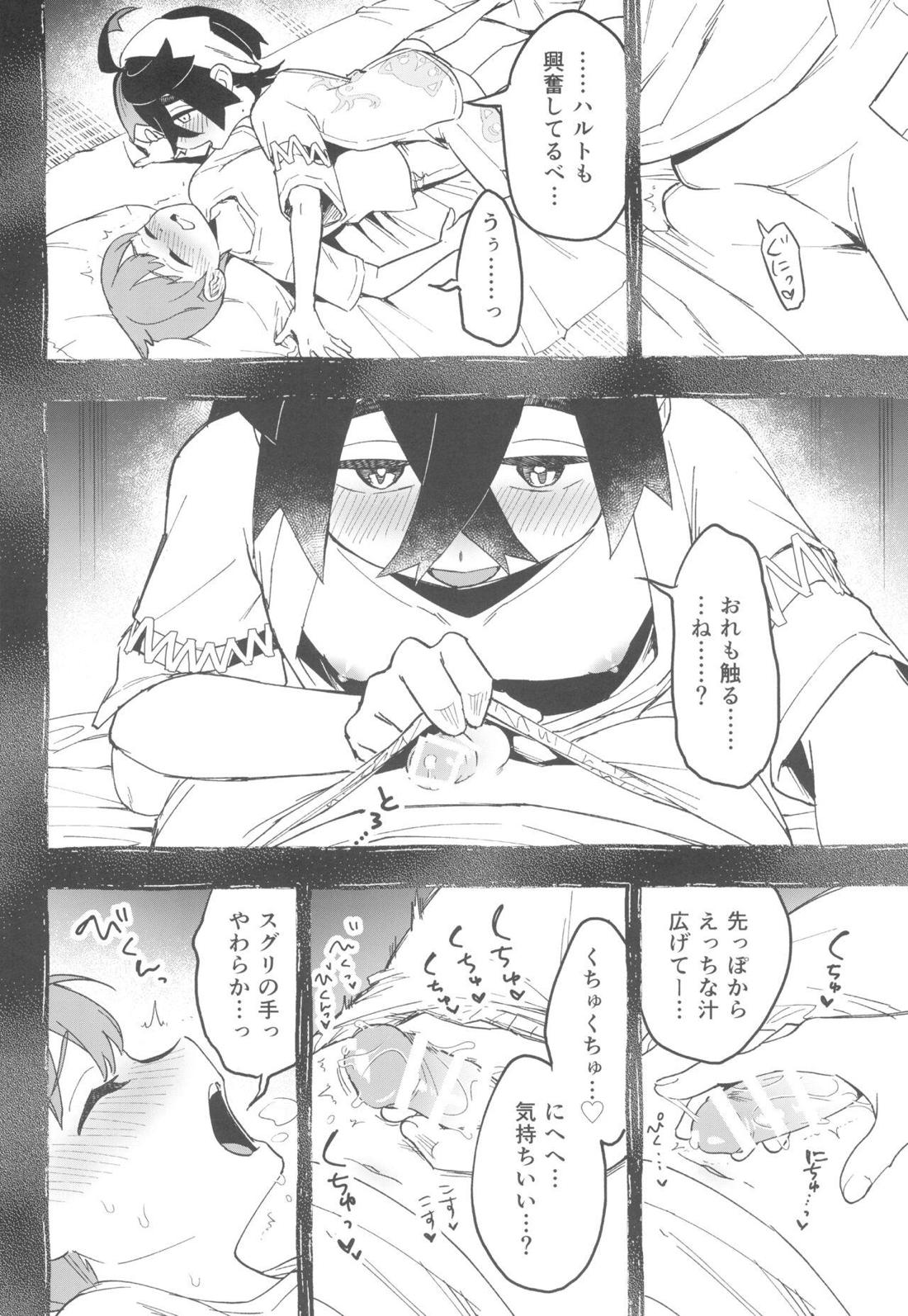 てらす世界で受けとめて -前編-【ポケモン/ハルスグ】 page 13