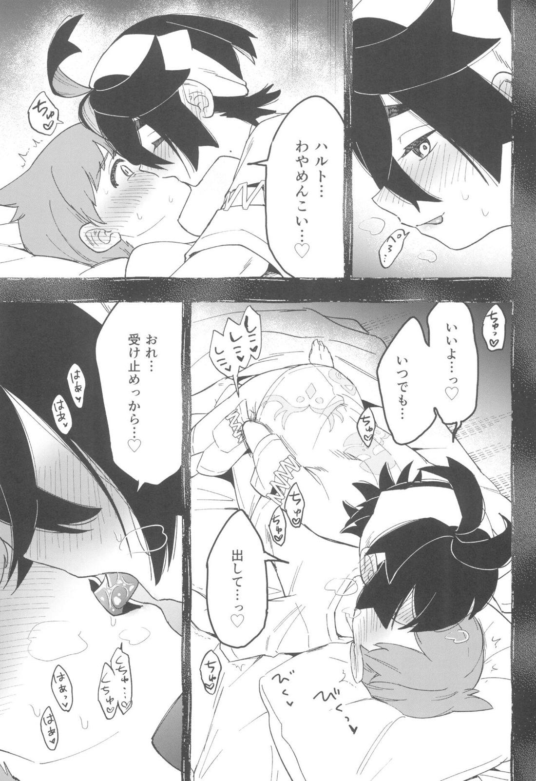 てらす世界で受けとめて -前編-【ポケモン/ハルスグ】 page 14