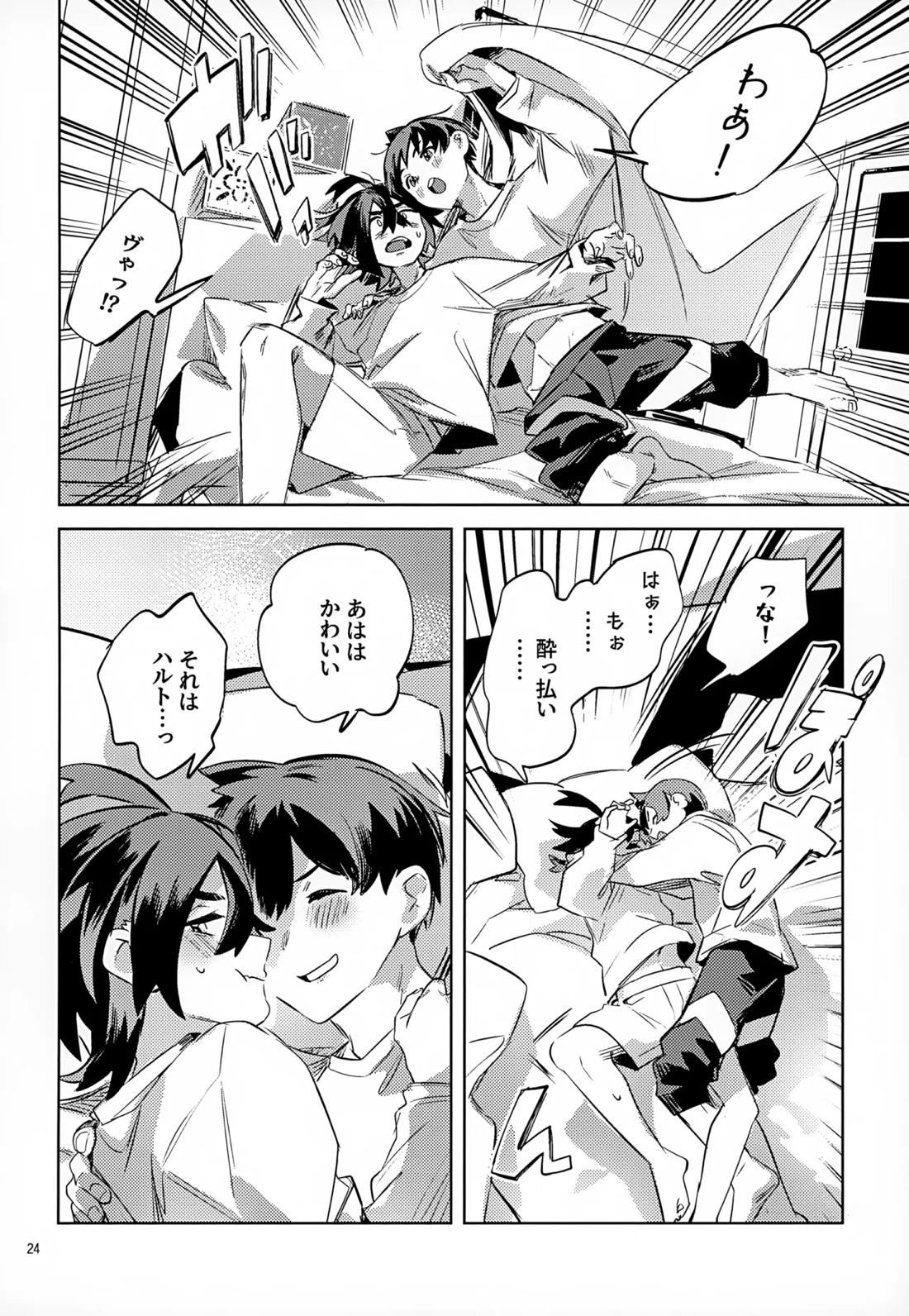 わやあずましいとしのヴィヴィエンダ【ポケモン/ハルスグ】 page 23