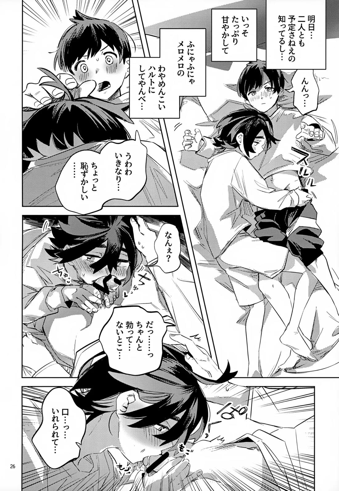 わやあずましいとしのヴィヴィエンダ【ポケモン/ハルスグ】 page 25