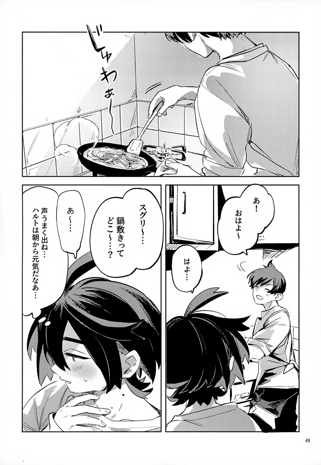 わやあずましいとしのヴィヴィエンダ【ポケモン/ハルスグ】 page 48