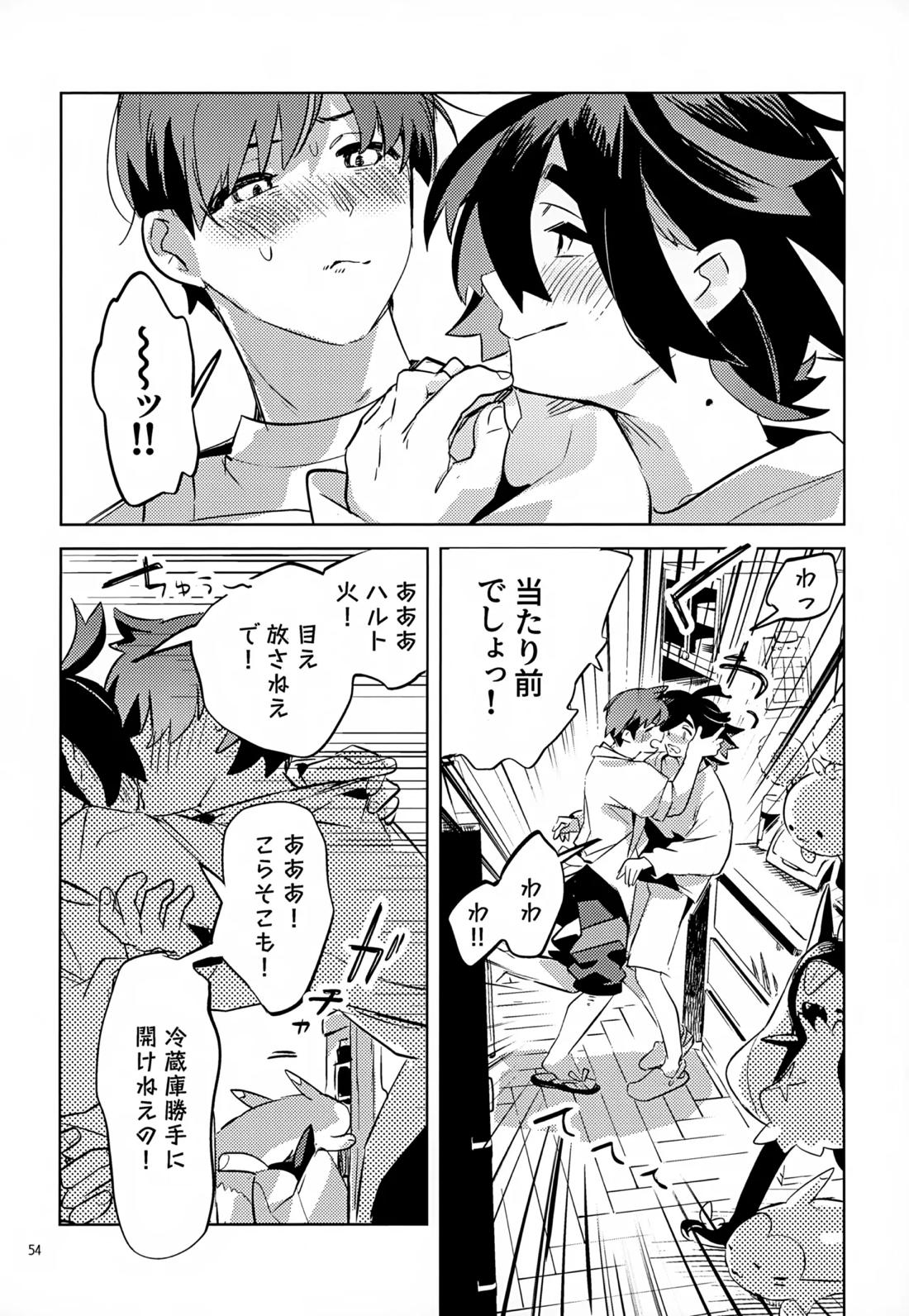 わやあずましいとしのヴィヴィエンダ【ポケモン/ハルスグ】 page 53