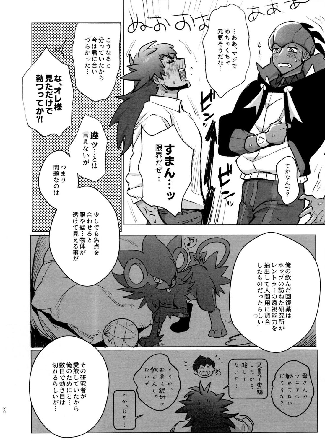 DNKB COMPLETE BOOK【ポケモン/ダンキバ】 page 20