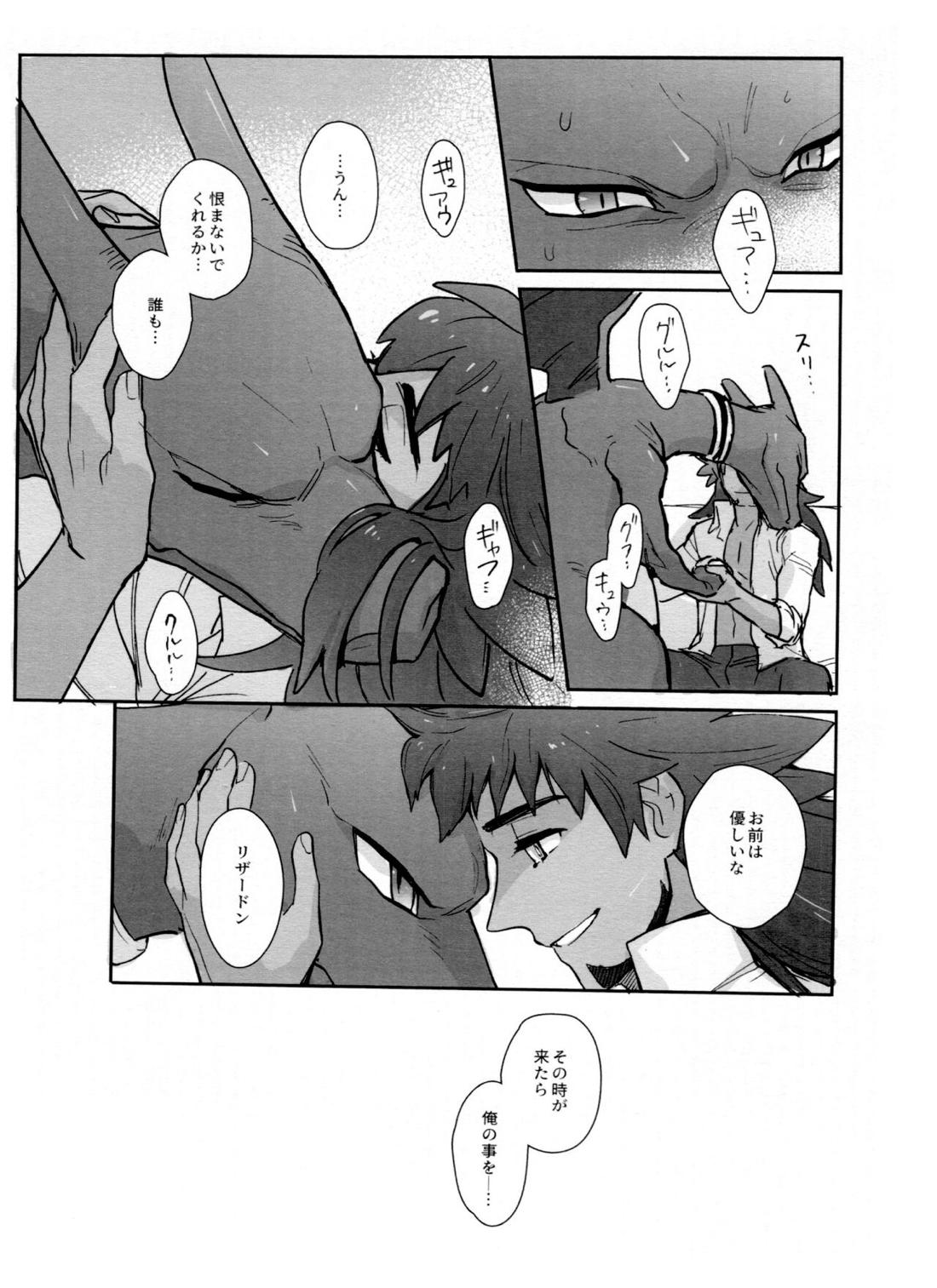 DNKB COMPLETE BOOK【ポケモン/ダンキバ】 page 161