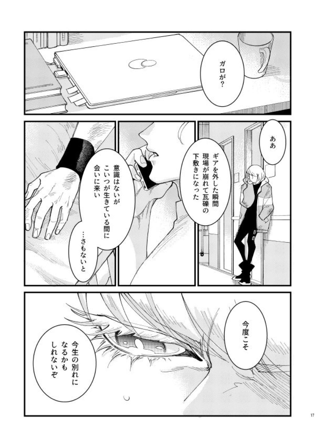 滅殺NEGATIVE SWEETS BEAM!!【プロメア/ガロクレ】 page 15