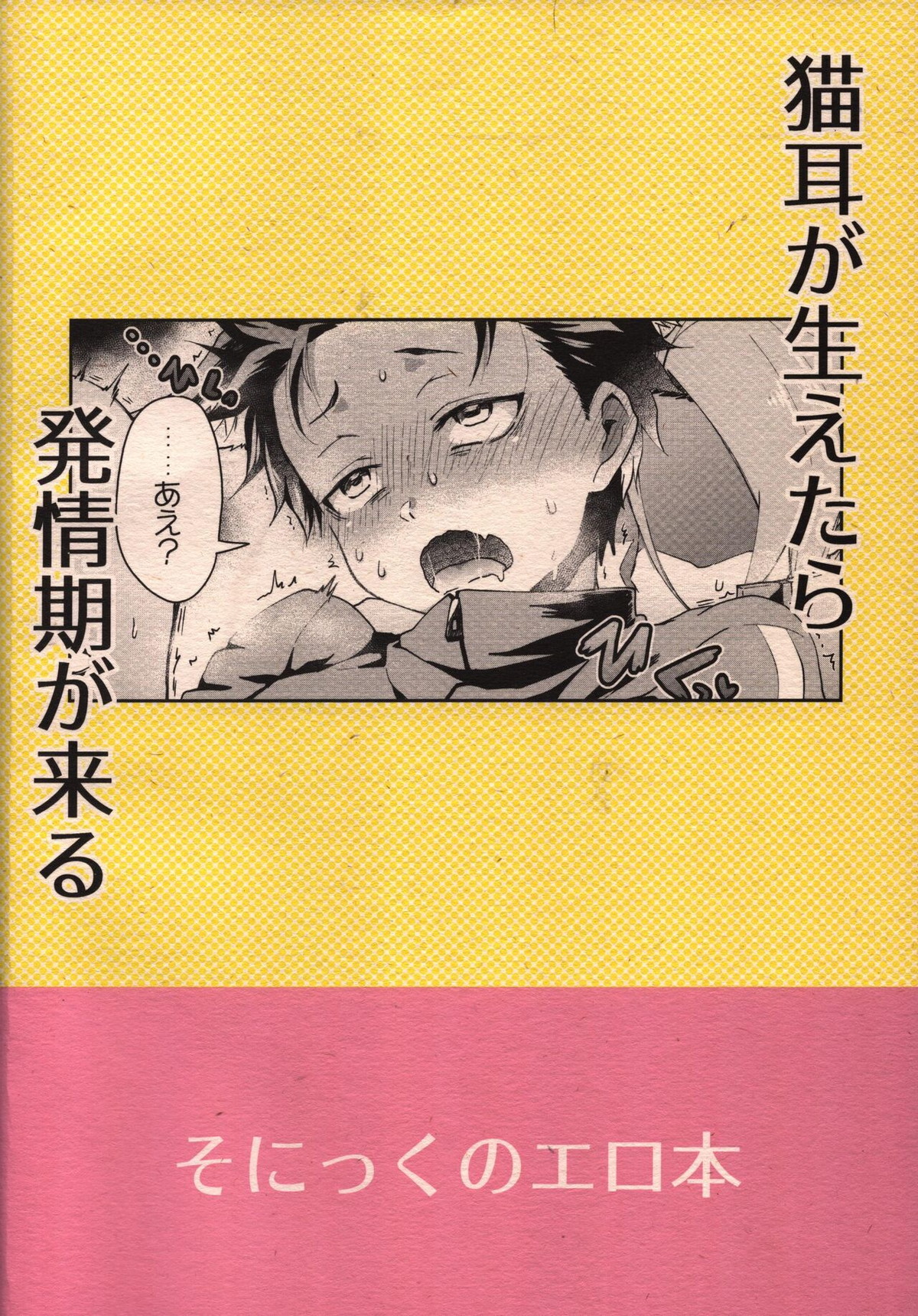 ニャンフルエンザに気をつけて！【Reゼロから始める異世界生活/ユリスバ】 page 22