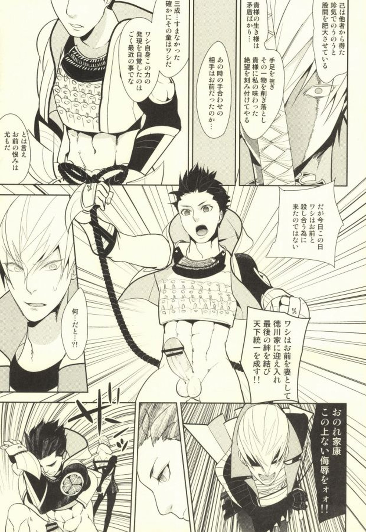 魔珍秘拳帖【戦国BASARA/家三】 page 14