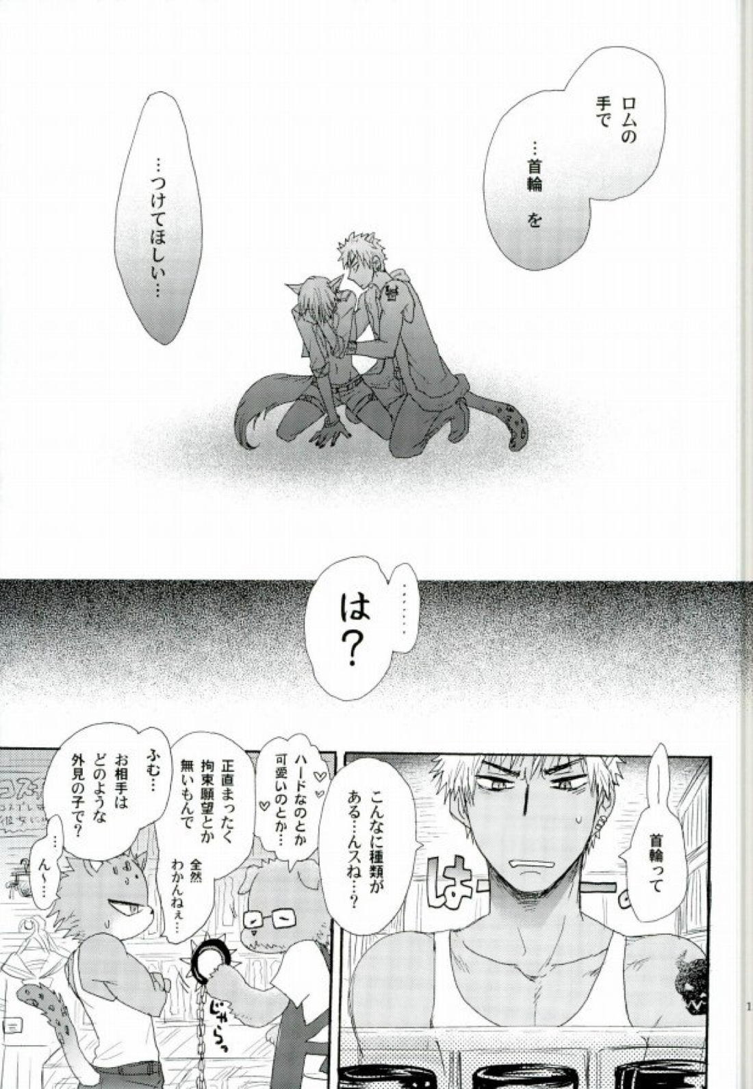 覚醒志願:カクセイシガン【SHOW BY ROCK!!/ロムヤイ】 page 14