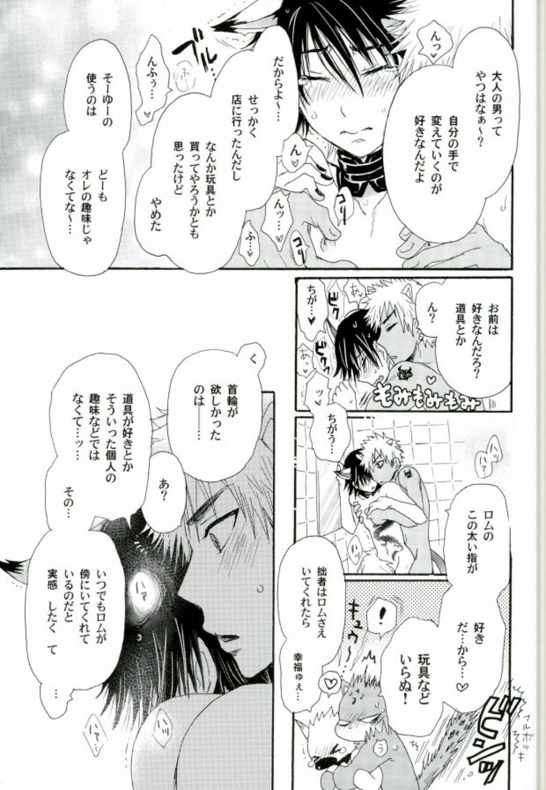 覚醒志願:カクセイシガン【SHOW BY ROCK!!/ロムヤイ】 page 22