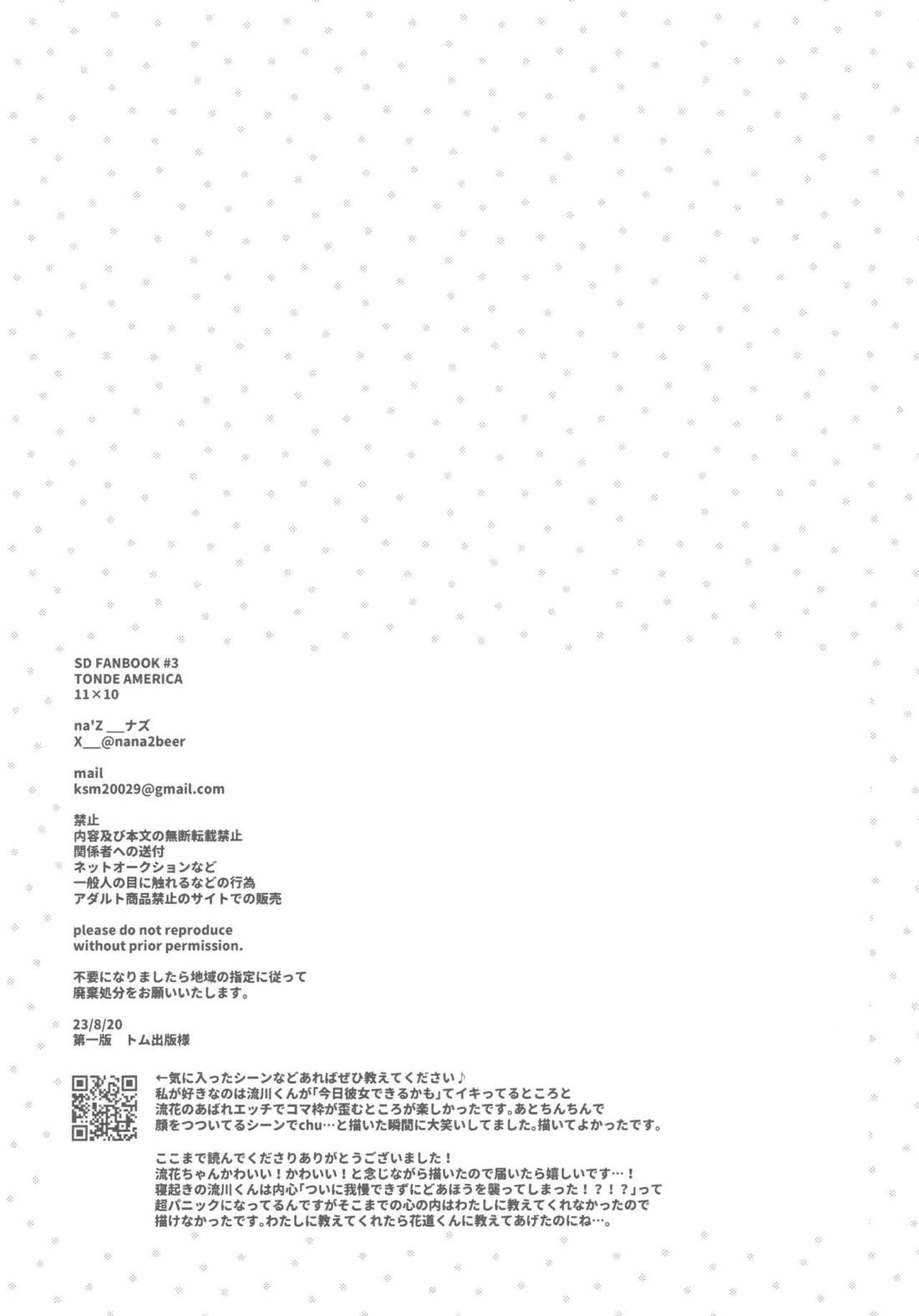 TONDE AMERICA【スラムダンク/流花】 page 29