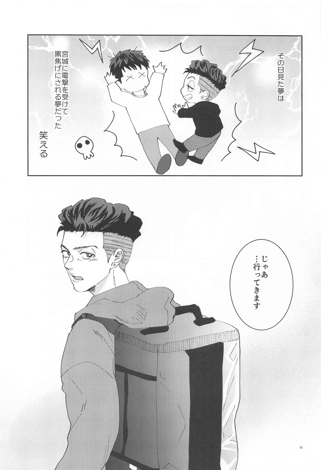 君は稲妻 上【スラムダンク/リョ三】 page 14