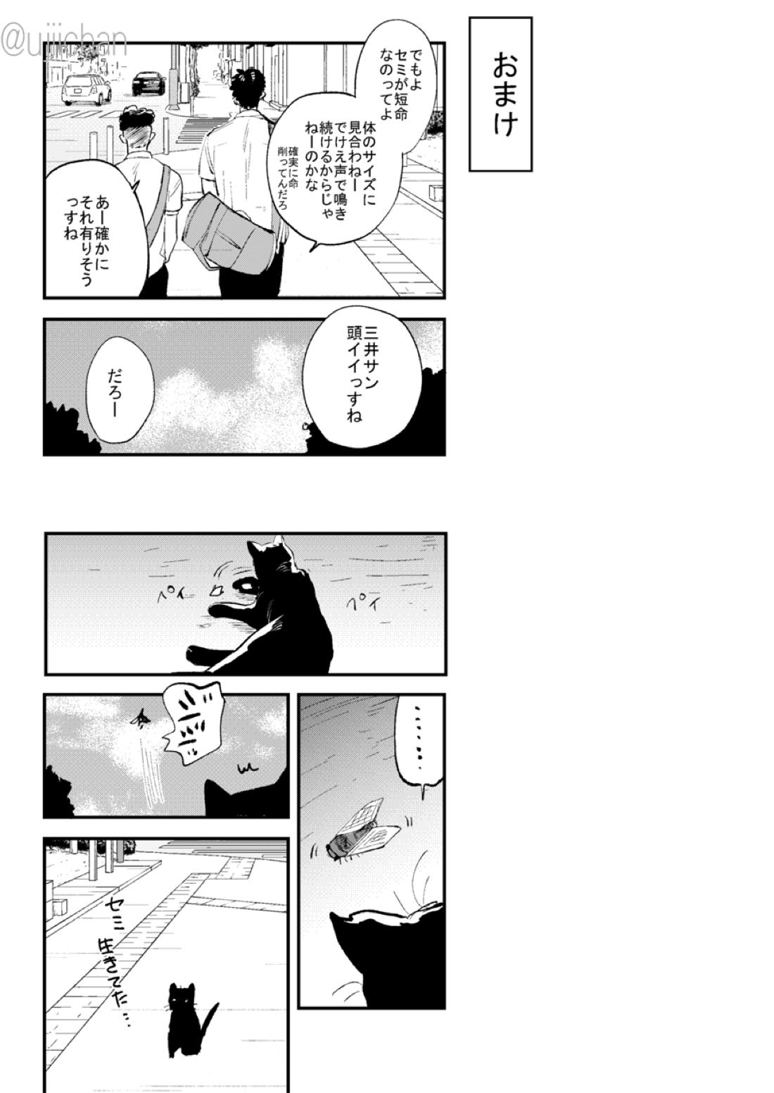 ひとなつの、【スラムダンク/流三】 page 87