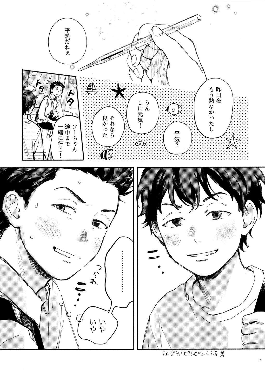 SSS!【スラムダンク/ソーリョ】 page 17