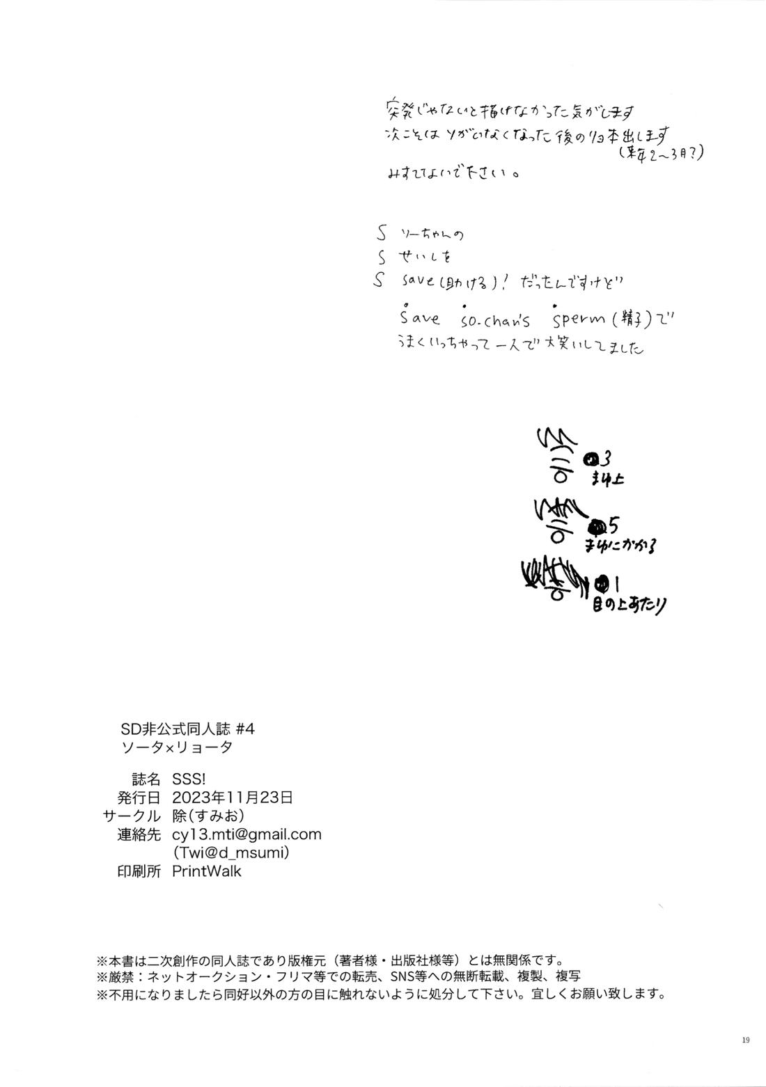 SSS!【スラムダンク/ソーリョ】 page 19