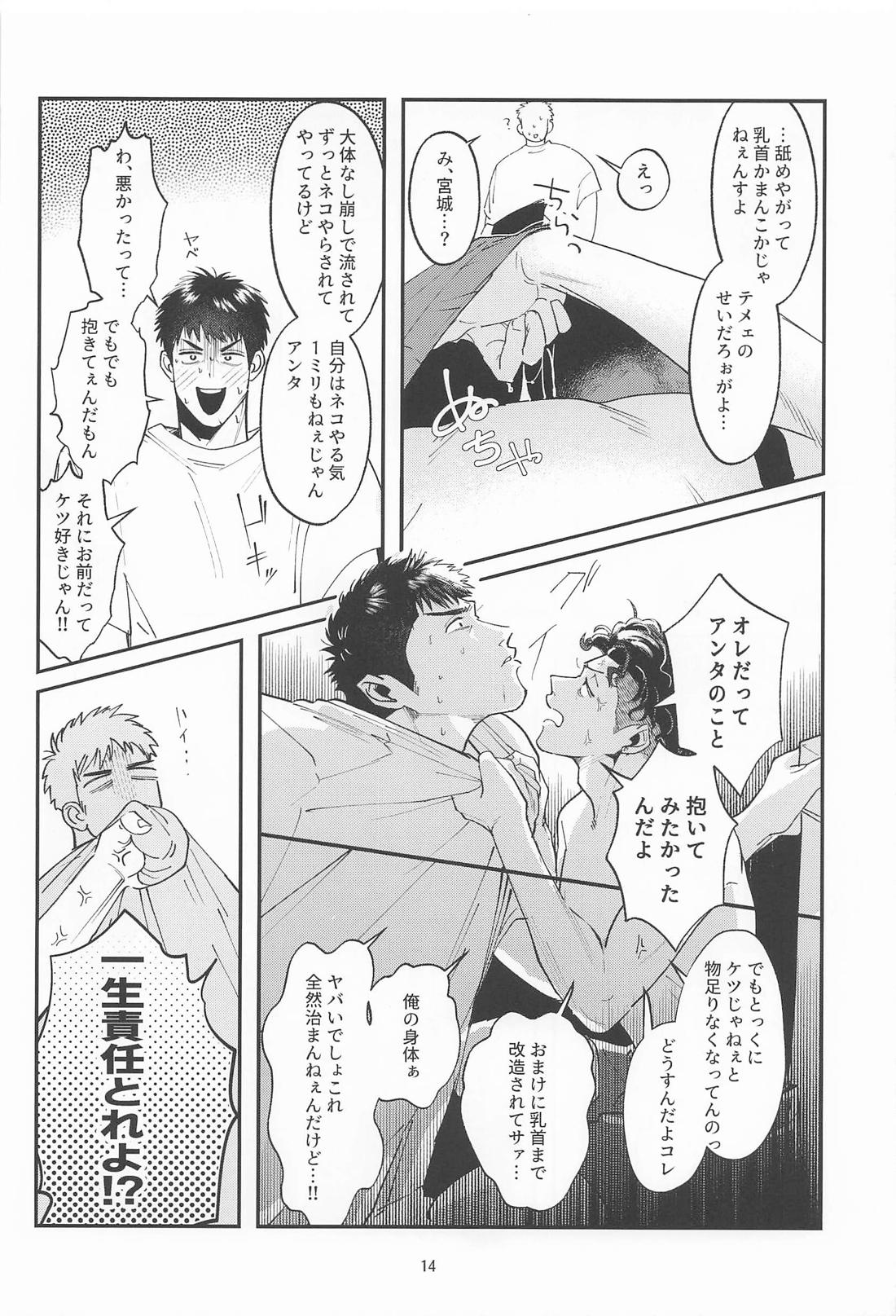 副作用に御注意【スラムダンク/三リョ】 page 13