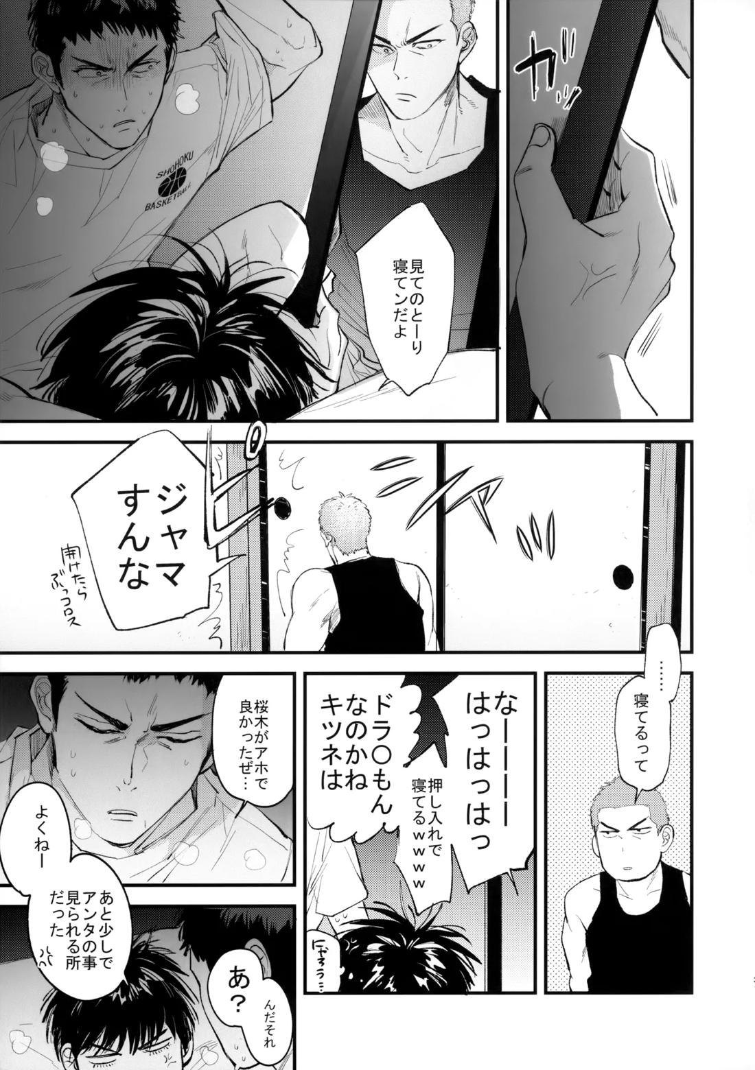 合宿中にふたりでヒミツの×××！？【スラムダンク/流三】 page 30