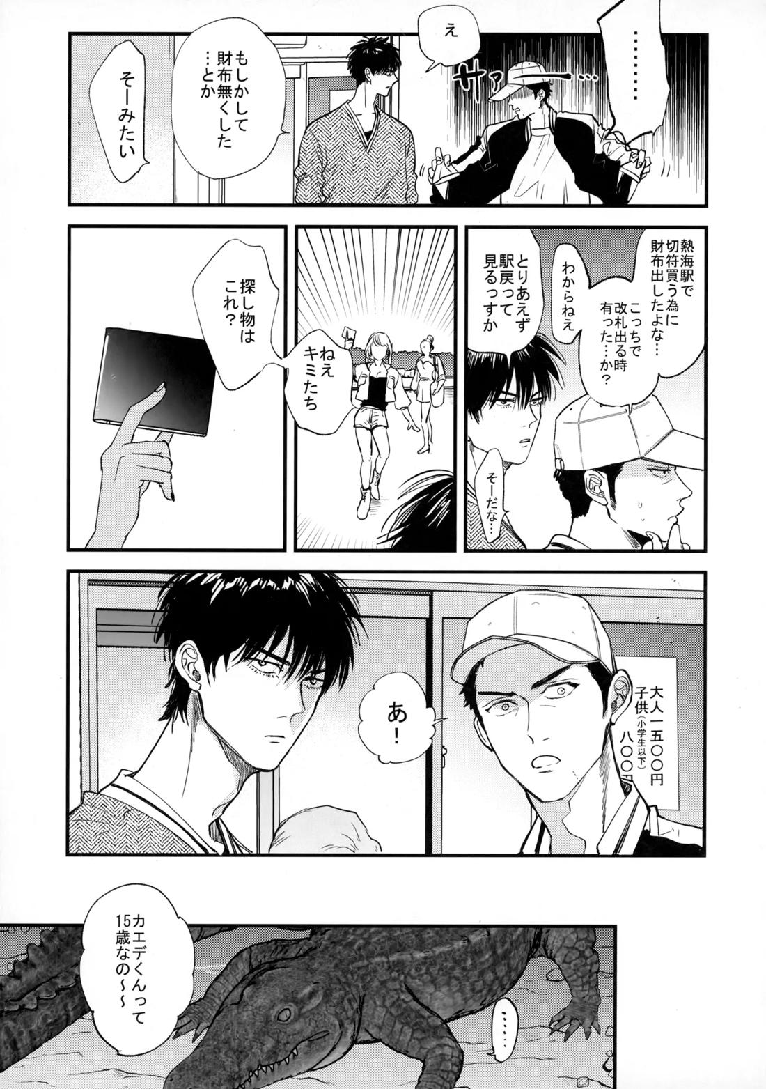 手ぇつないで、キスして【スラムダンク/流三】 page 20