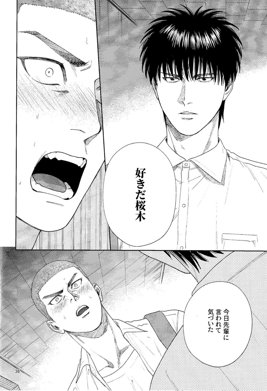 どあほうにキス【スラムダンク/流花】 page 35