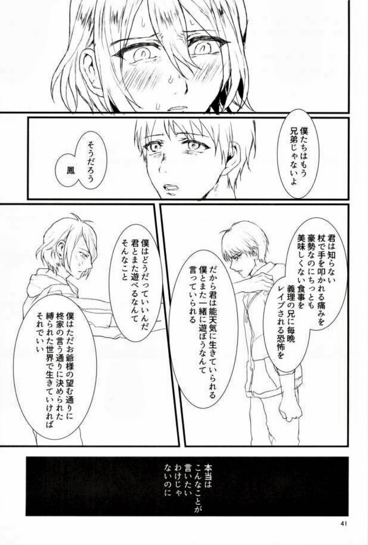インテグレーション【スタミュ/鳳柊】 page 41