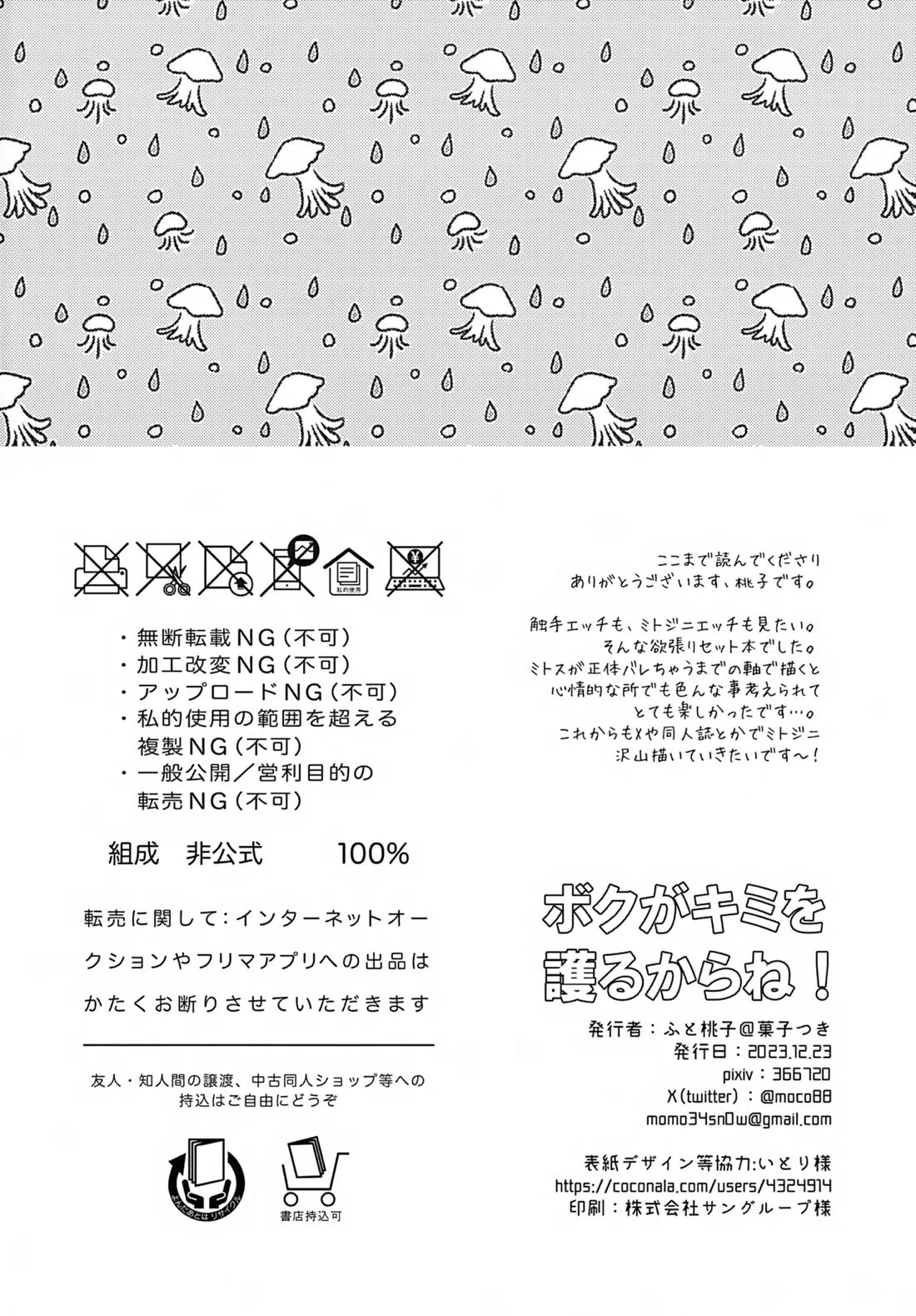 ボクがキミを護るからね！【テイルズオブシンフォニア/ミトジニ】 page 25