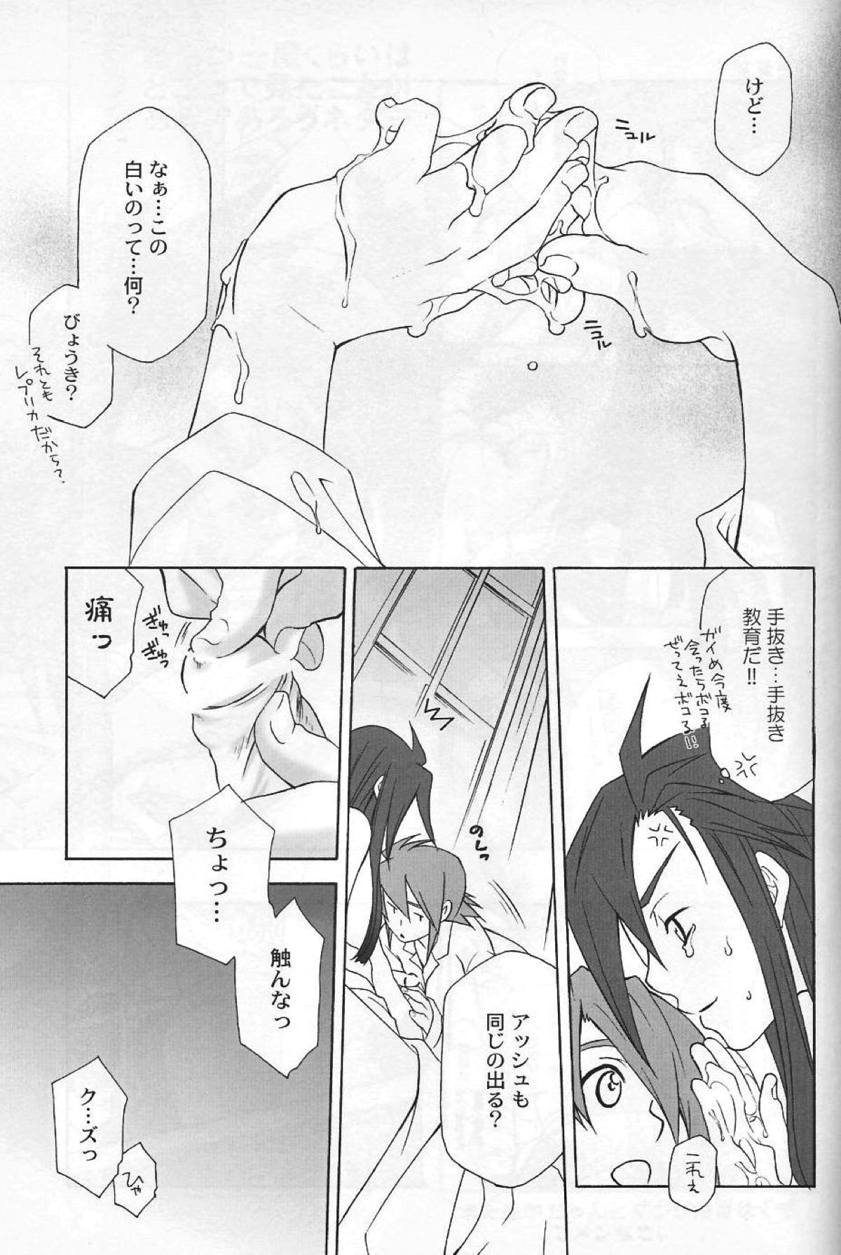 flirt【テイルズオブジアビス/ルクアシュ】 page 14
