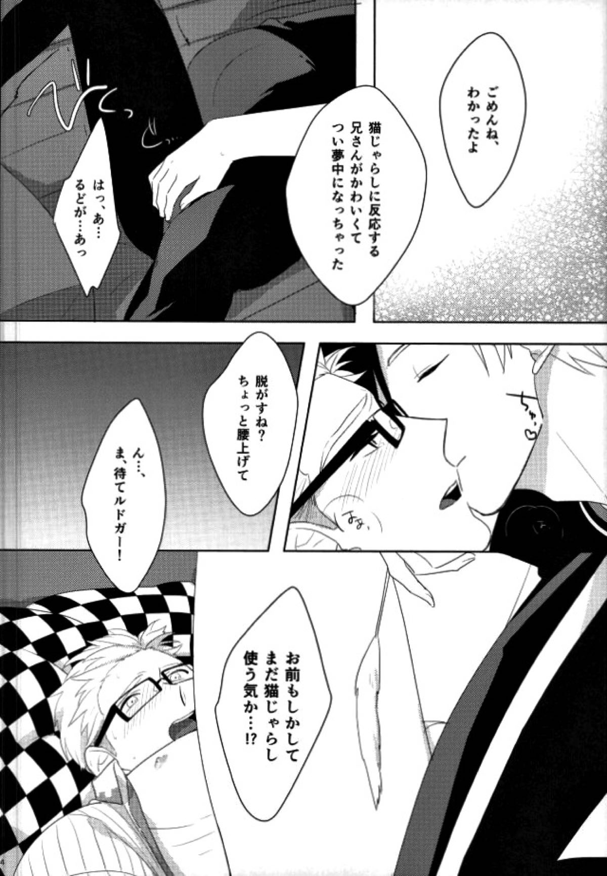 おもちゃなにいさん【テイルズオブエクシリア/ルドユリ】 page 13