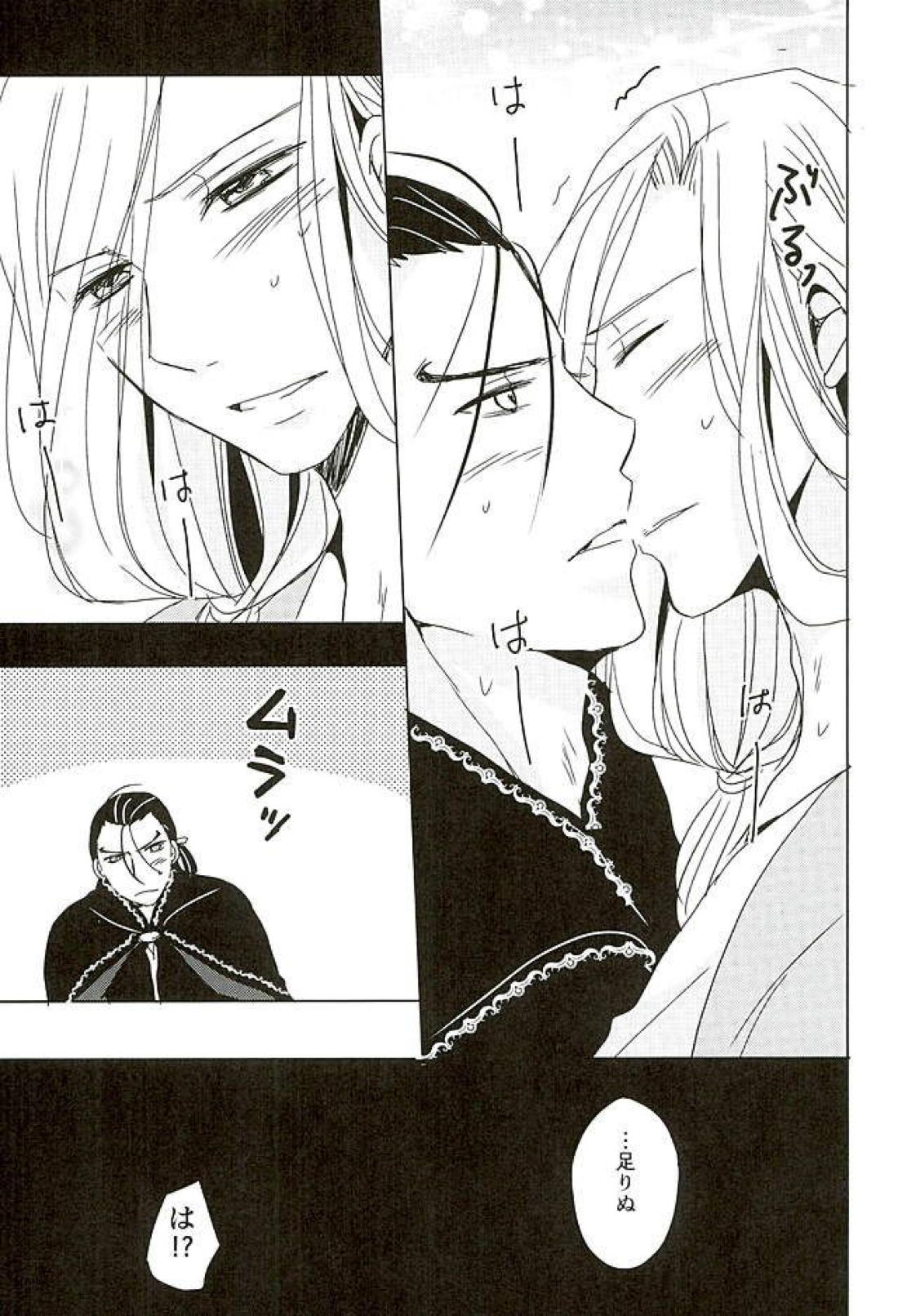 黒に酔狂【アルスラーン戦記/ダリュナル】 page 16