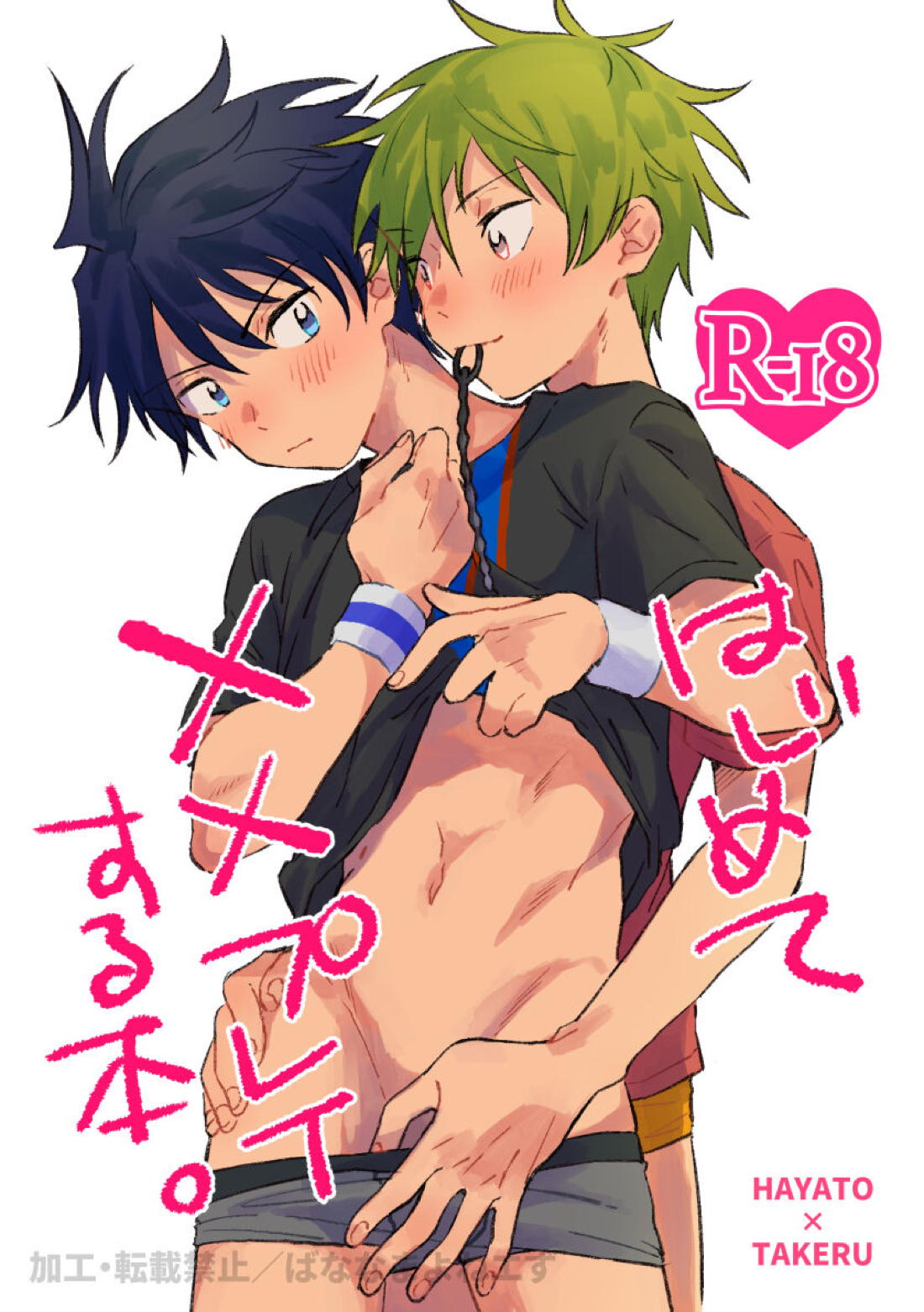 はじめて××プレイする本。【アイドルマスターSideM/隼タケ】