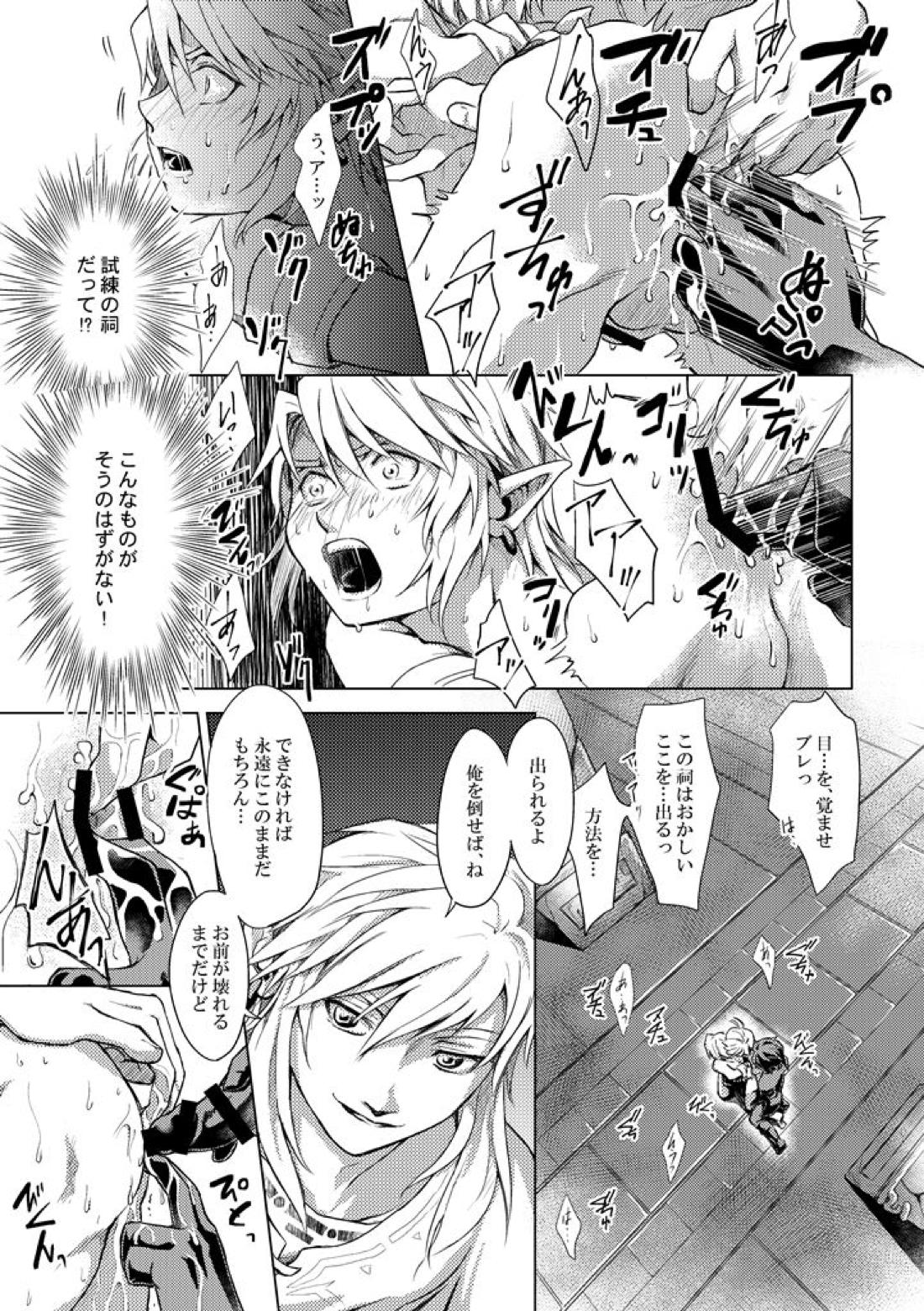 精神の試練【ゼルダの伝説/ブレトワ】 page 12