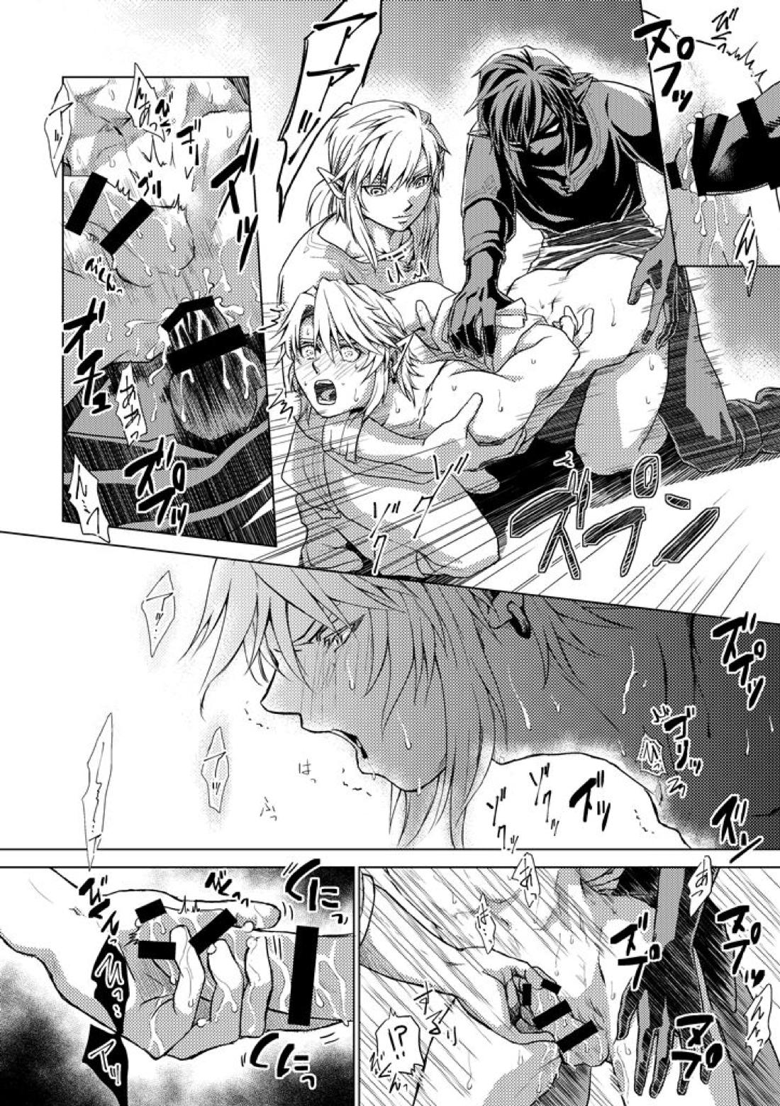 精神の試練【ゼルダの伝説/ブレトワ】 page 13