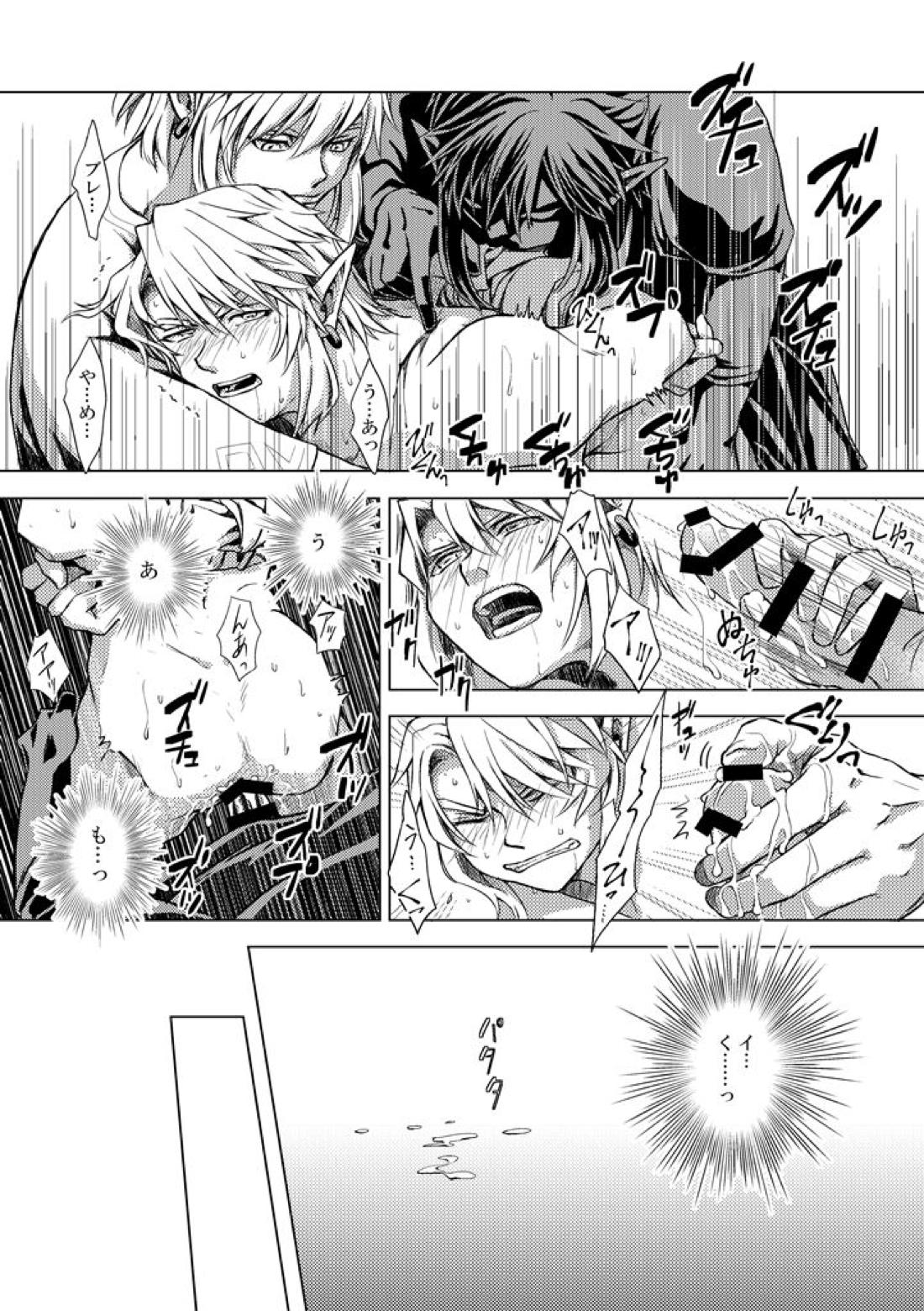 精神の試練【ゼルダの伝説/ブレトワ】 page 14