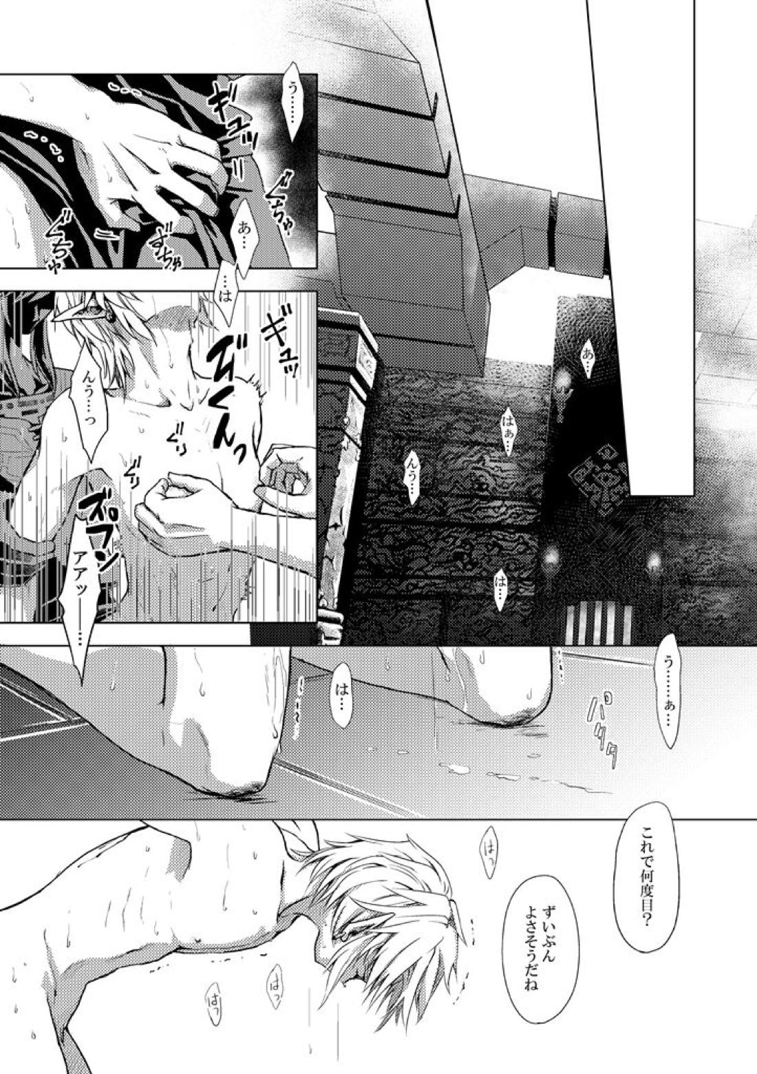 精神の試練【ゼルダの伝説/ブレトワ】 page 15