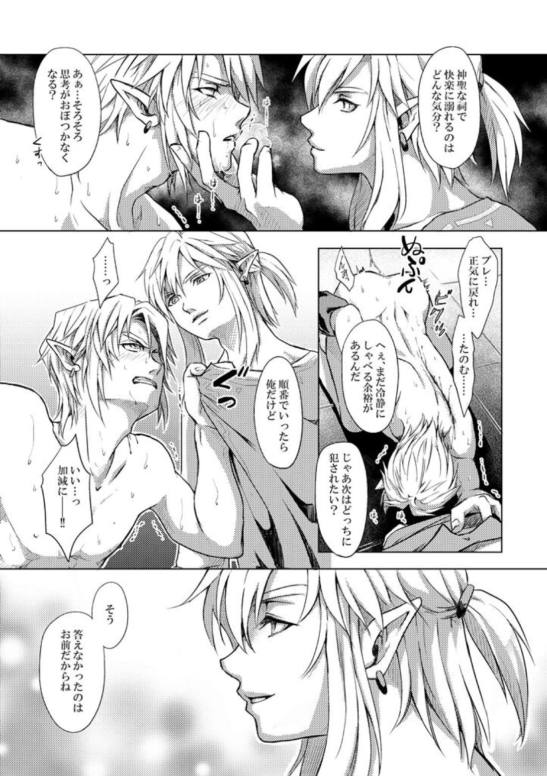 精神の試練【ゼルダの伝説/ブレトワ】 page 16