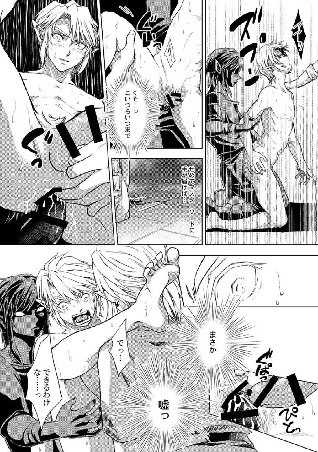 精神の試練【ゼルダの伝説/ブレトワ】 page 17
