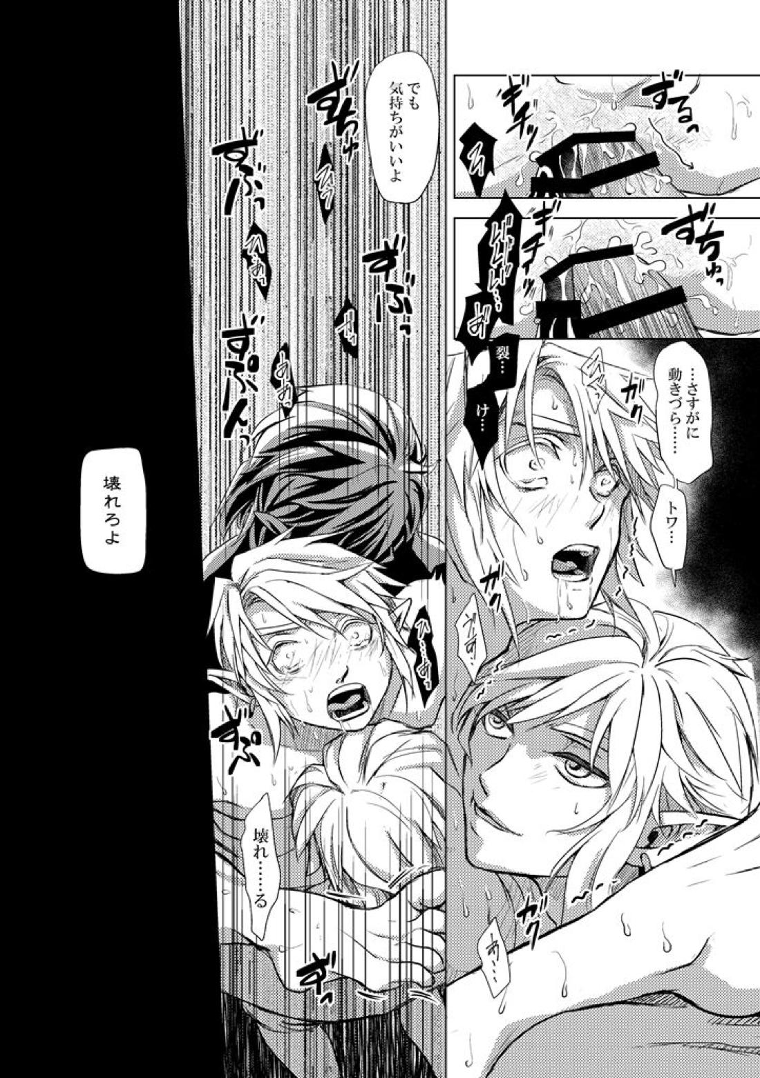 精神の試練【ゼルダの伝説/ブレトワ】 page 19