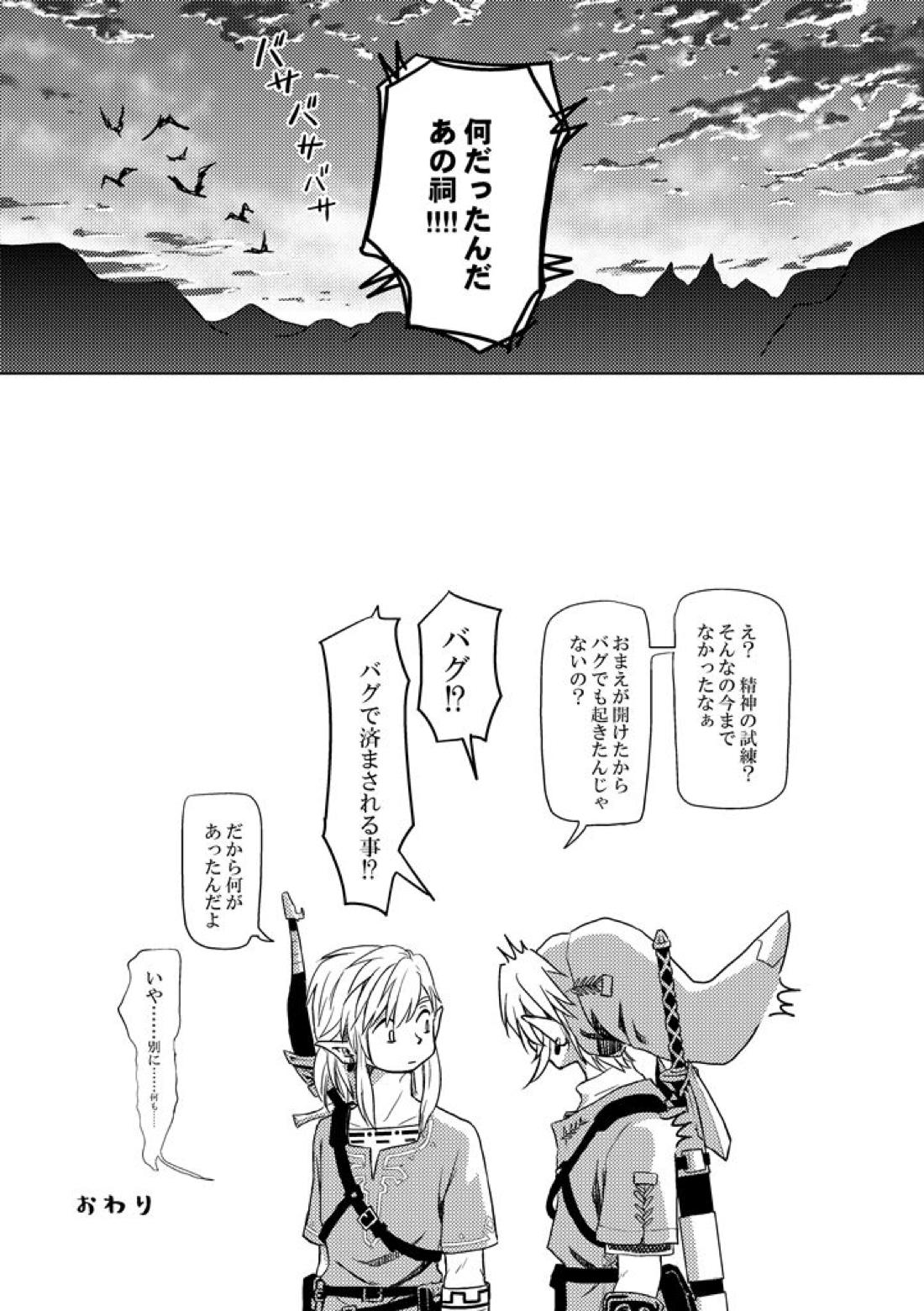 精神の試練【ゼルダの伝説/ブレトワ】 page 24