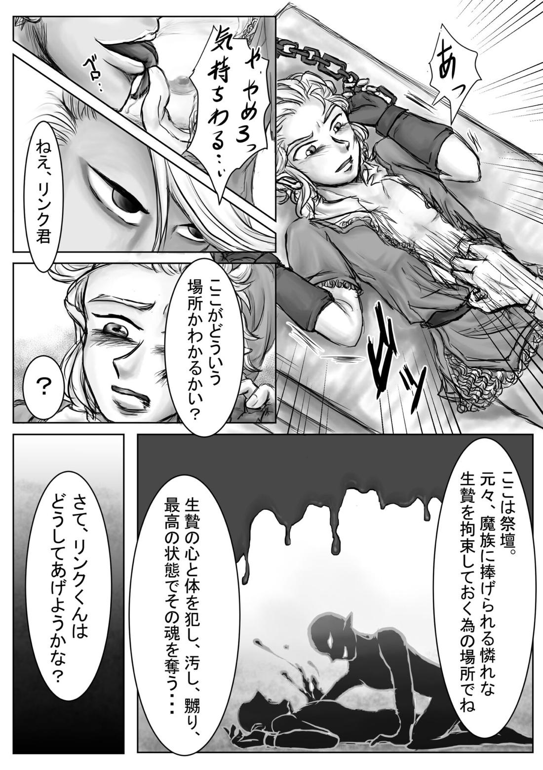堕天【ゼルダの伝説/ギラリン】 page 11