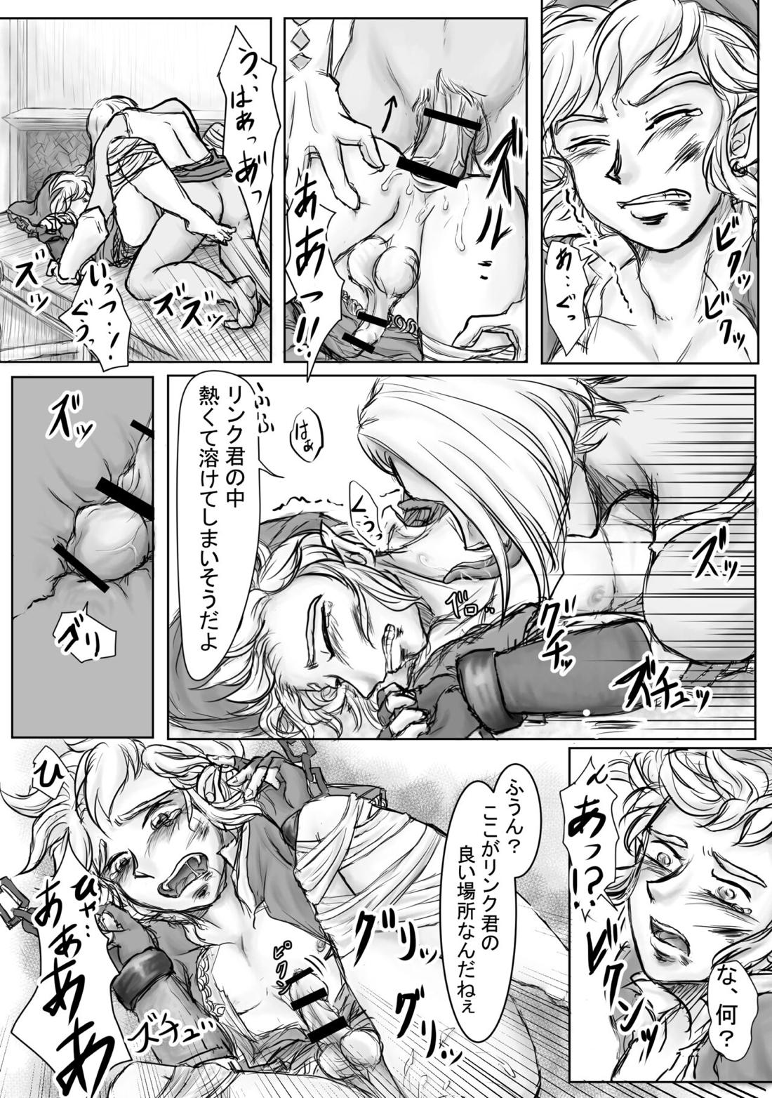 堕天【ゼルダの伝説/ギラリン】 page 14
