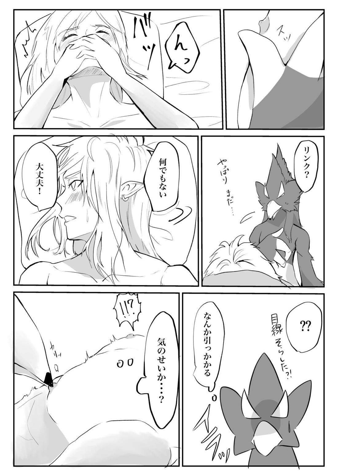 君が壊した世界 番外編【ゼルダの伝説/リバリン】 page 11