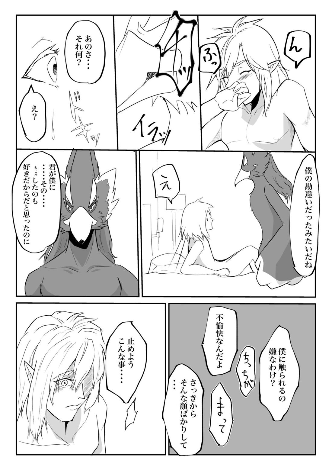 君が壊した世界 番外編【ゼルダの伝説/リバリン】 page 12